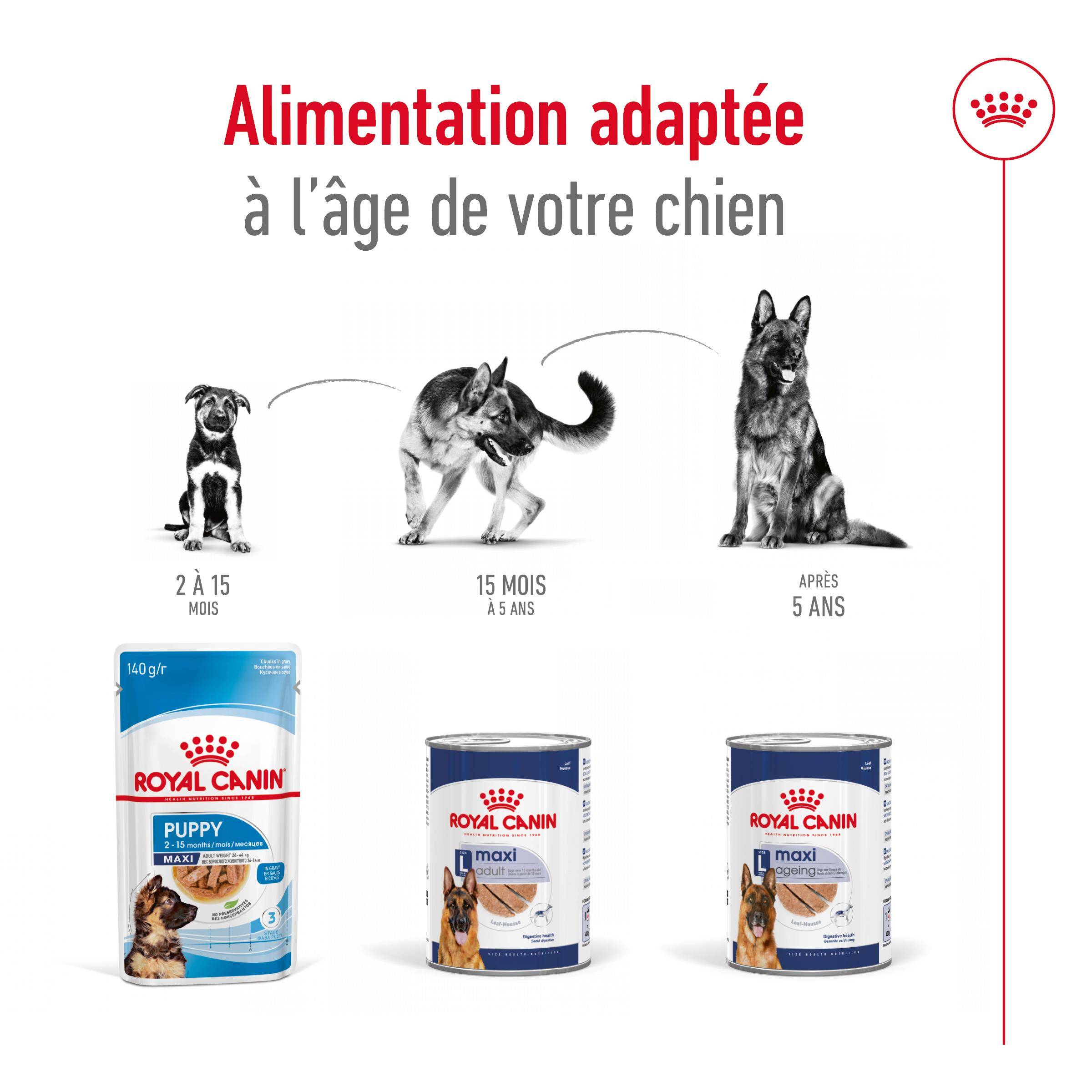 Royal Canin - Maxi Adult Can - 410 g - Image 6