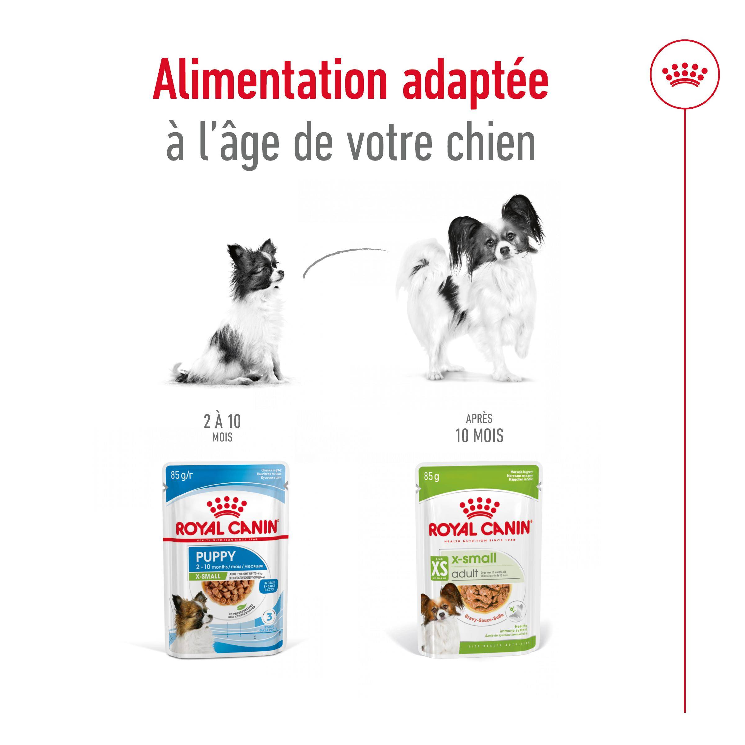 Royal Canin - Royal Canin - X-Small Adult Sauce - 12x85 g - Image 6