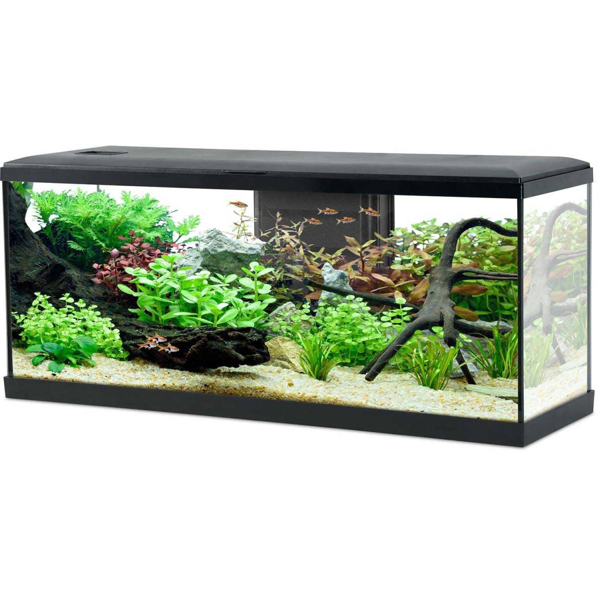 Aquarium Tana modèle LED noir matière verre L.100.5 cm l.32 cm H.44 cm - Zolux - Image 2