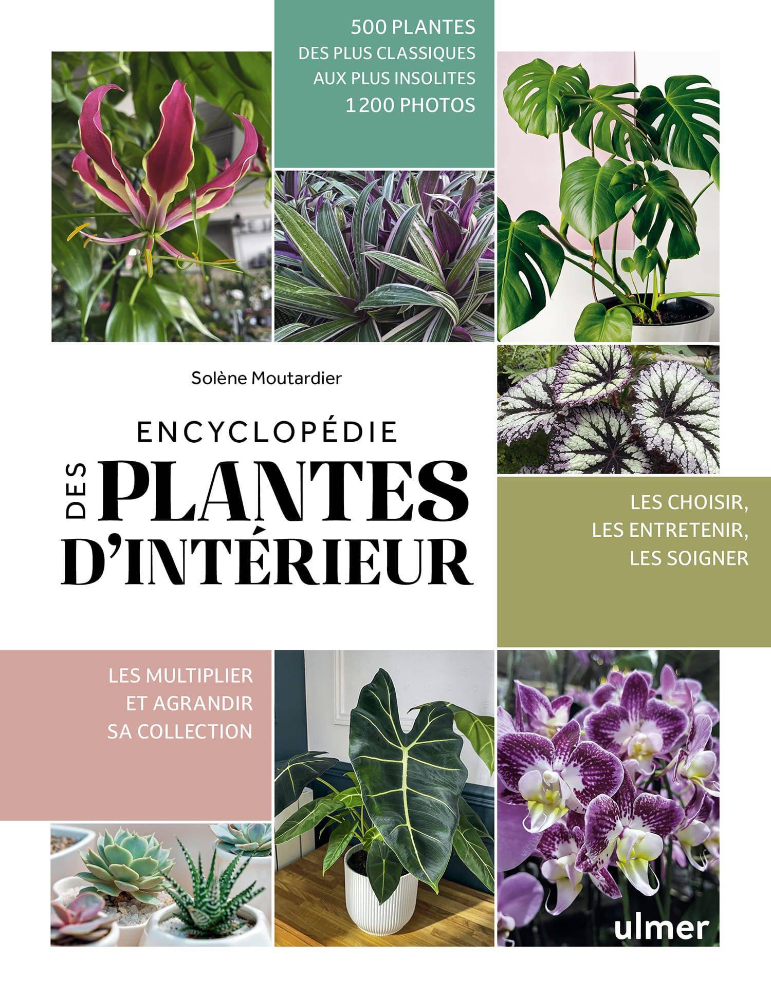 Guide complet des plantes d'intrieur 500 espces - Ulmer