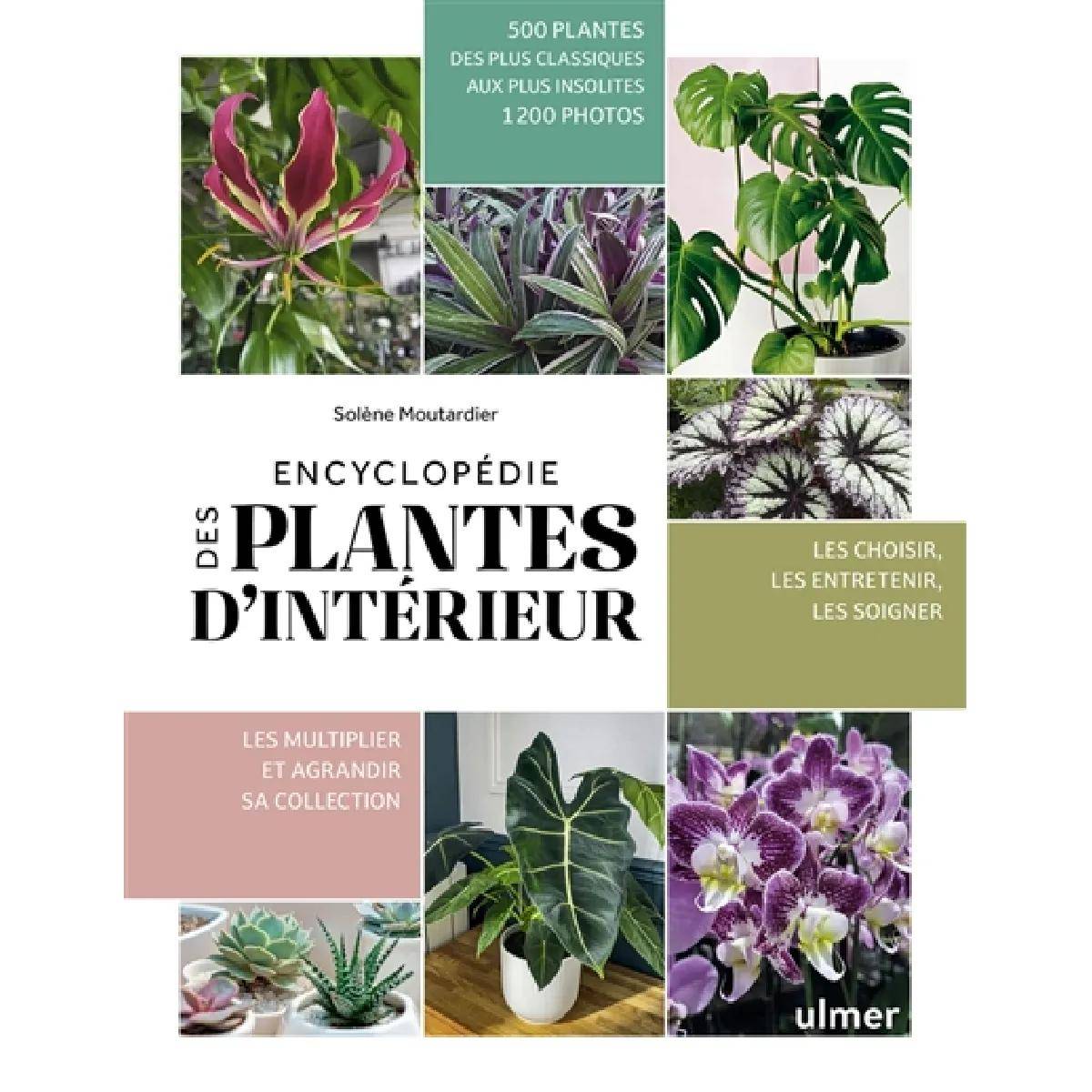 Guide complet des plantes d'intérieur 500 espèces - Ulmer - Imagen 2