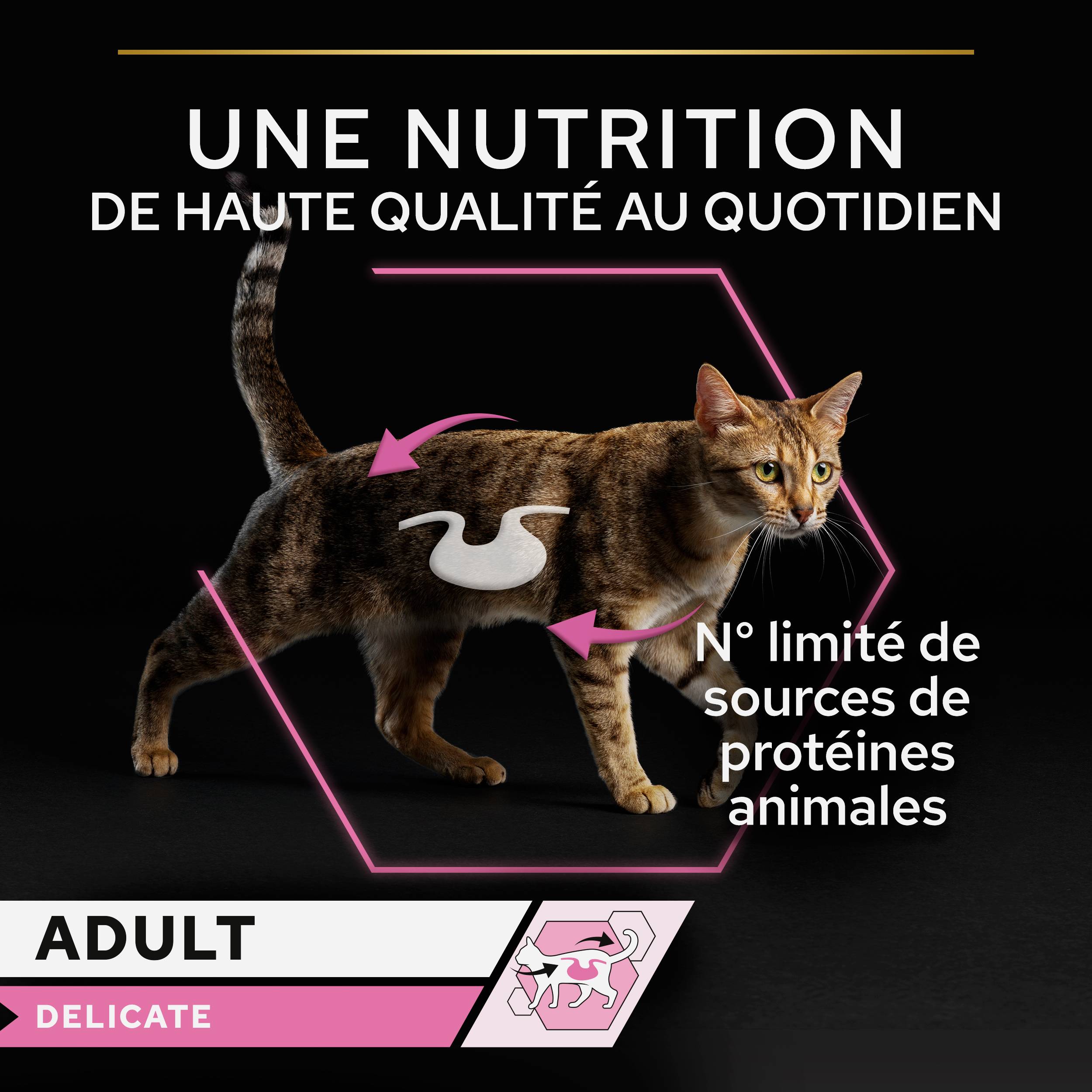 Purina Pro Plan - Pâtée chat adulte sauce digestion délicate multivariétés dinde et poisson 10 x 85 g - Pro Plan - Image 2