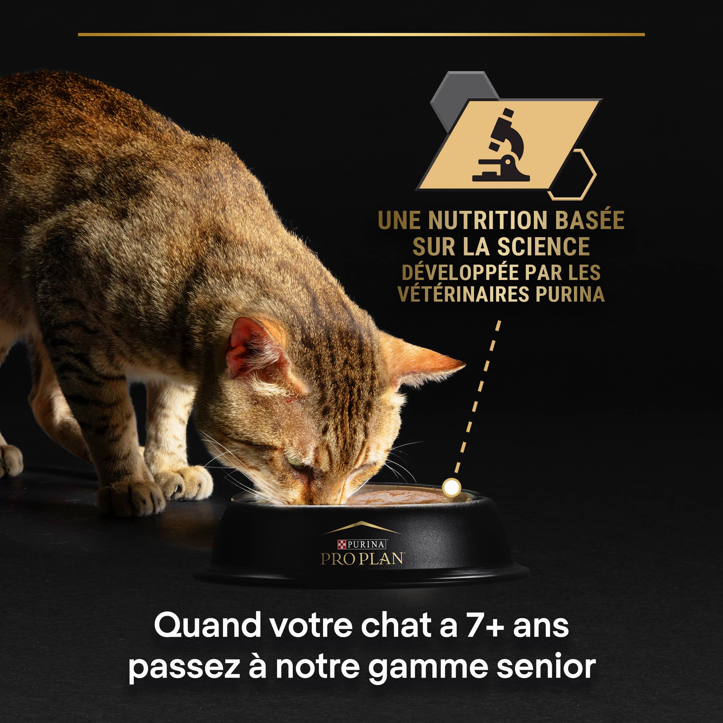 Purina Pro Plan - Pâtée chat adulte sauce digestion délicate multivariétés dinde et poisson 10 x 85 g - Pro Plan - Image 4