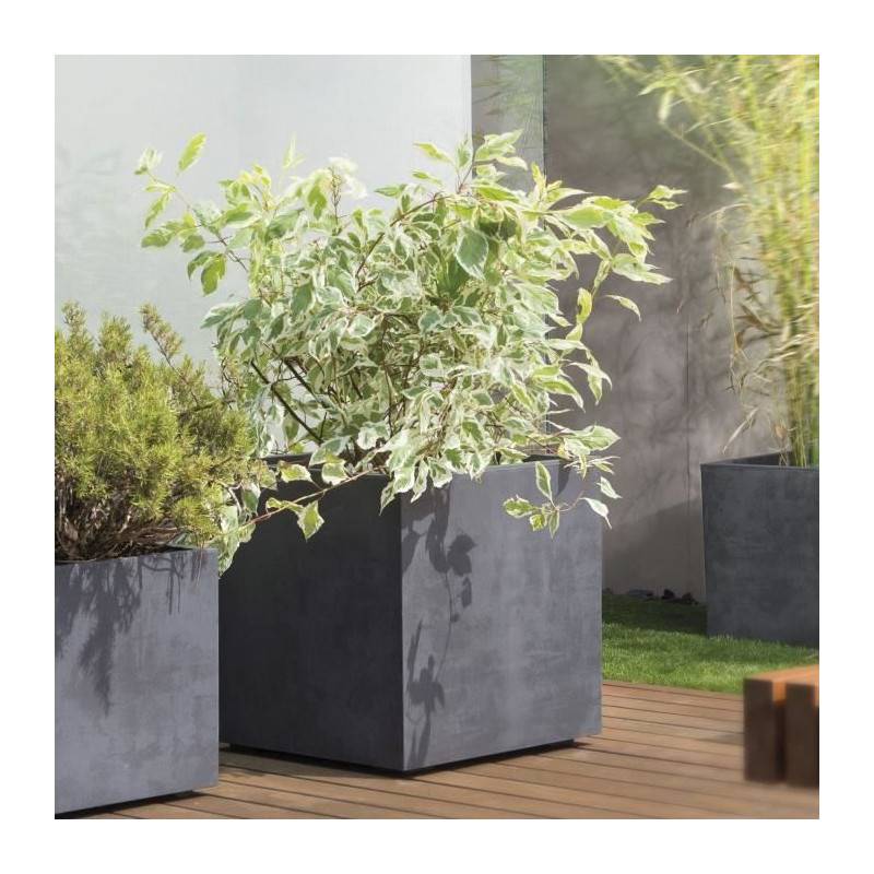Pot de fleur Cube plastique anthracite L.49 cm H.49.5 cm Millennium R - Deroma - Image 5