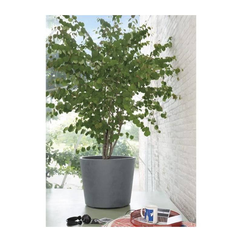 Pot de fleur Millennium R en recyclat gris Ø59 cm H.49.5 cm avec roulettes - Deroma - Imagen 3