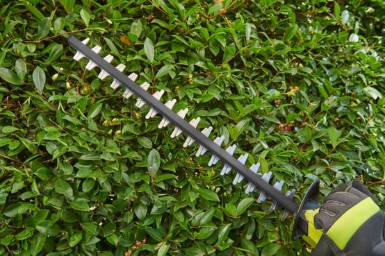 Ryobi - Taille-haies 36V RY36HT60A-0 - RYOBI - Image 6