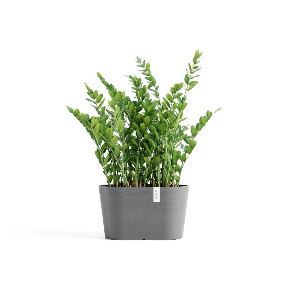 Pot Tokyo type ovale en plastique recyclé gris L.30 cm P.17 cm H.17 cm - Ecopots - Imagen 1