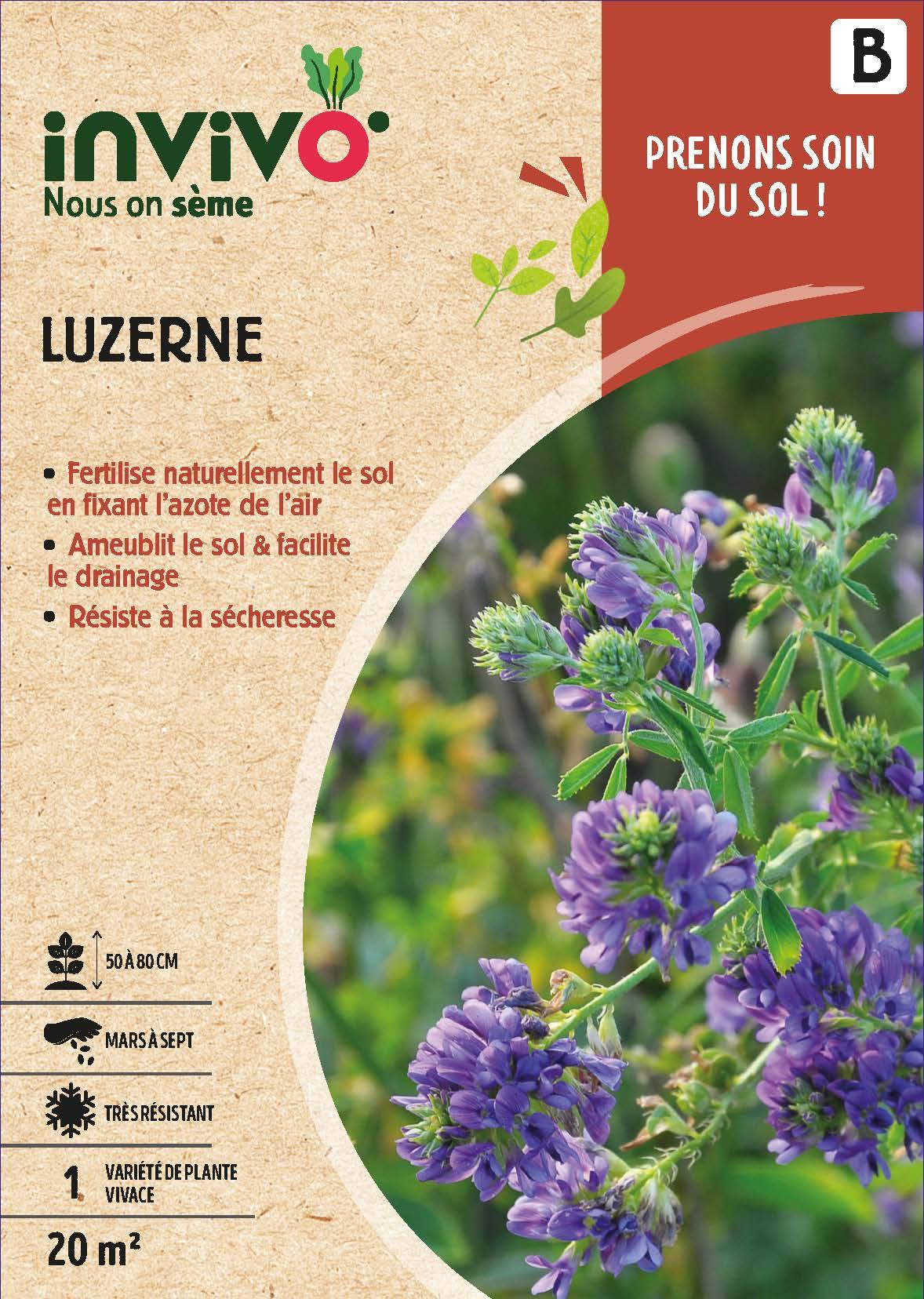 Invivo Nous On Sème - Semences luzerne 20 m2 - INVIVO Nous on sème
