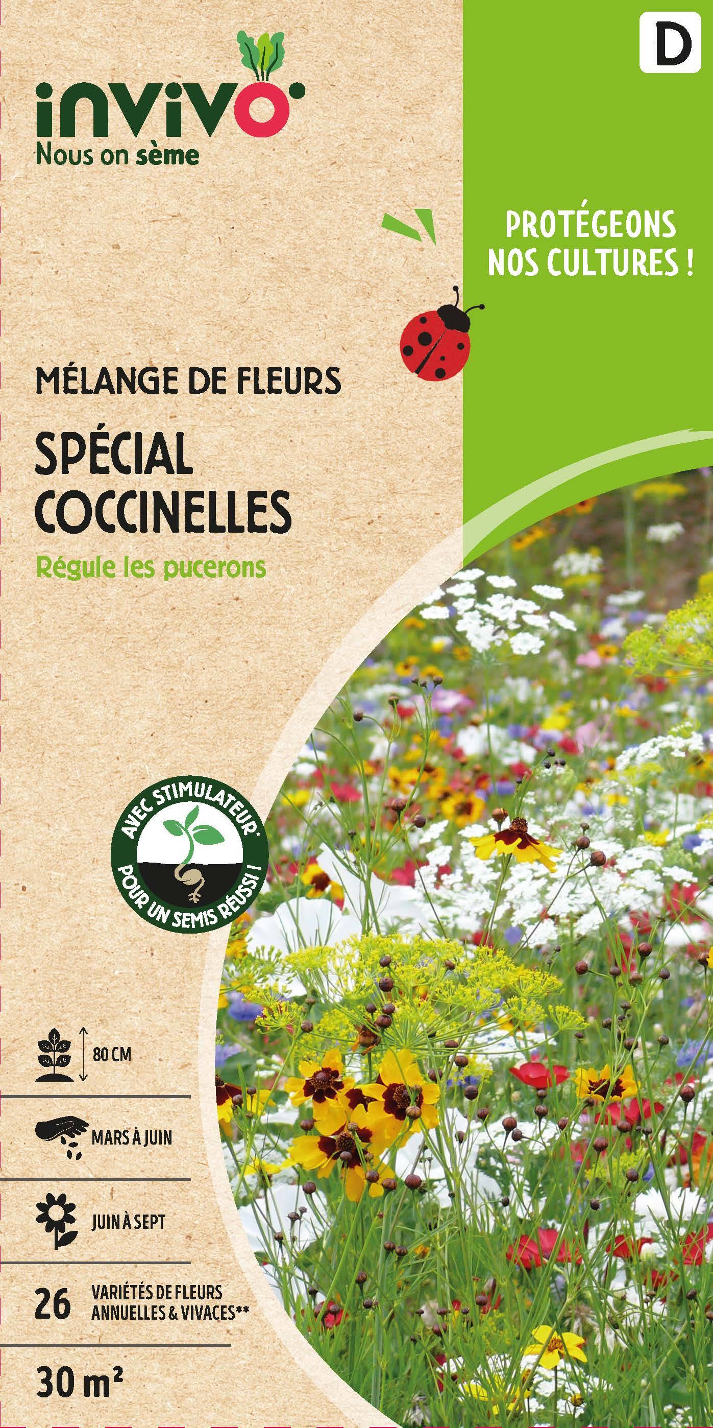 Invivo Nous On Sème - Semences mélange de fleurs spécial coccinelles 30 m2 - INVIVO Nous on sème - Image 1