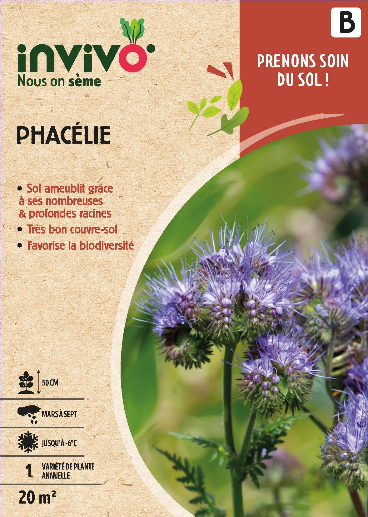 Invivo Nous On Sème - Semences phacélie 20 m2 - INVIVO Nous on sème