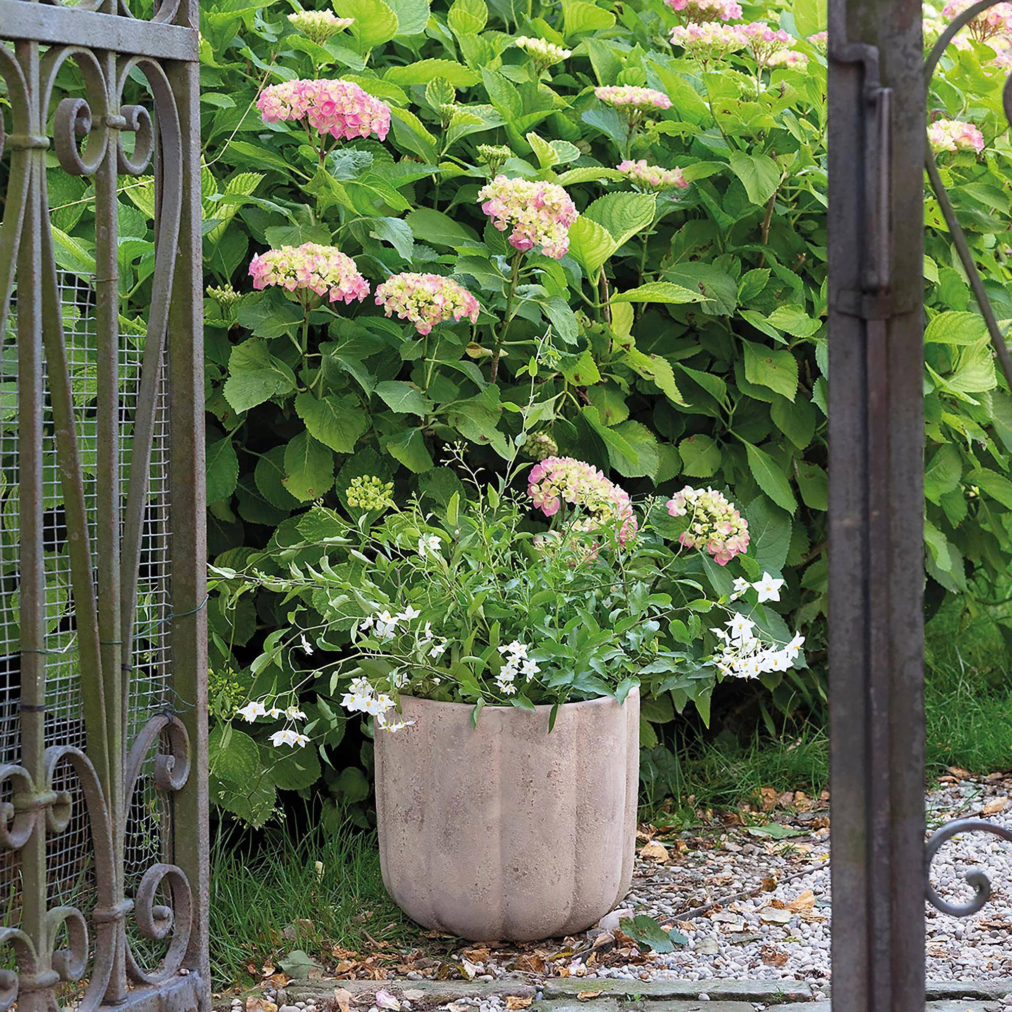 Pot de fleurs Pumpkin terre cuite marron Ø28 cm H.26 cm - Deroma - Imagen 4