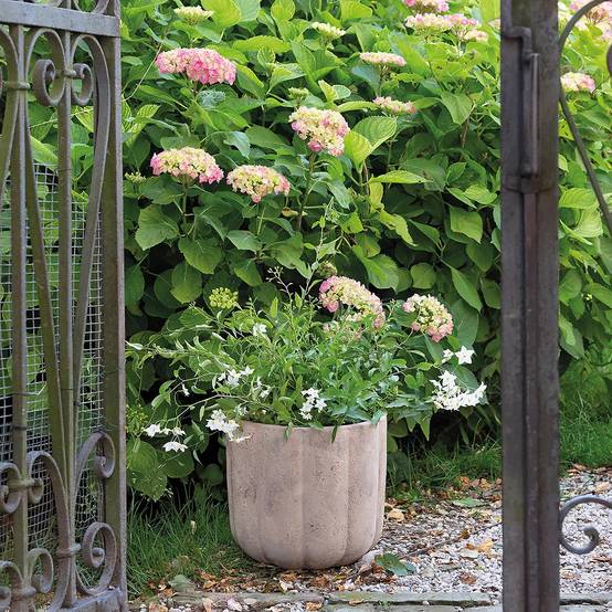 Pot de fleurs Pumpkin terre cuite marron Ø36 cm H.33 cm - Deroma - Image 1