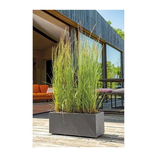 Jardinière muret plastique anthracite L.59 P.25 H.25 cm Millennium R - Deroma - Image 5