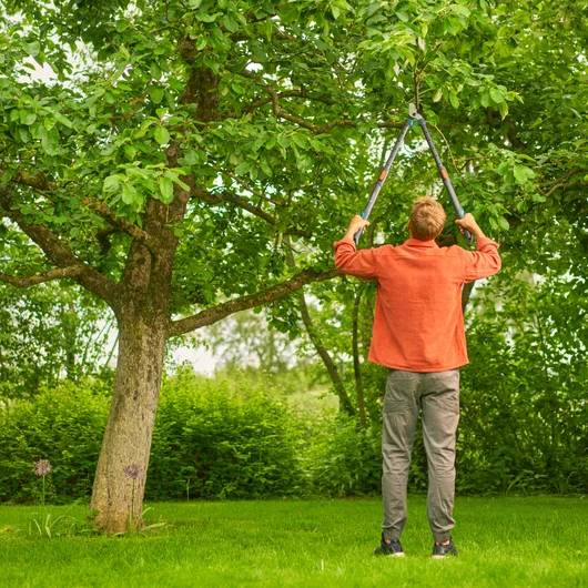 Gardena - Coupe-branche télescopique pour bois vert - Gardena - Imagen 4