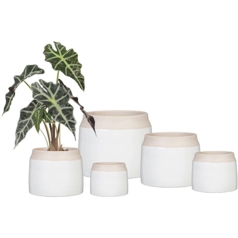 Scheurich - Jarro Maceta de flores Cerámica Blanco Ø 14,9 cm H 14 cm - SCHEURICH - Imagen 1