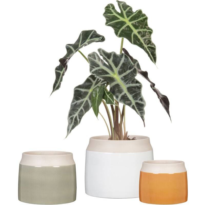 Scheurich - Jarro Maceta de flores Cerámica Blanco Ø 14,9 cm H 14 cm - SCHEURICH - Imagen 2