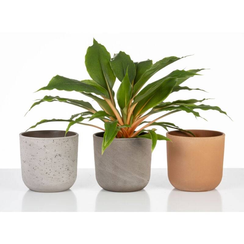Pot de fleurs en céramique rouge Ø14.9 cm H.13.5 cm 1.3L - Scheurich - Imagen 1