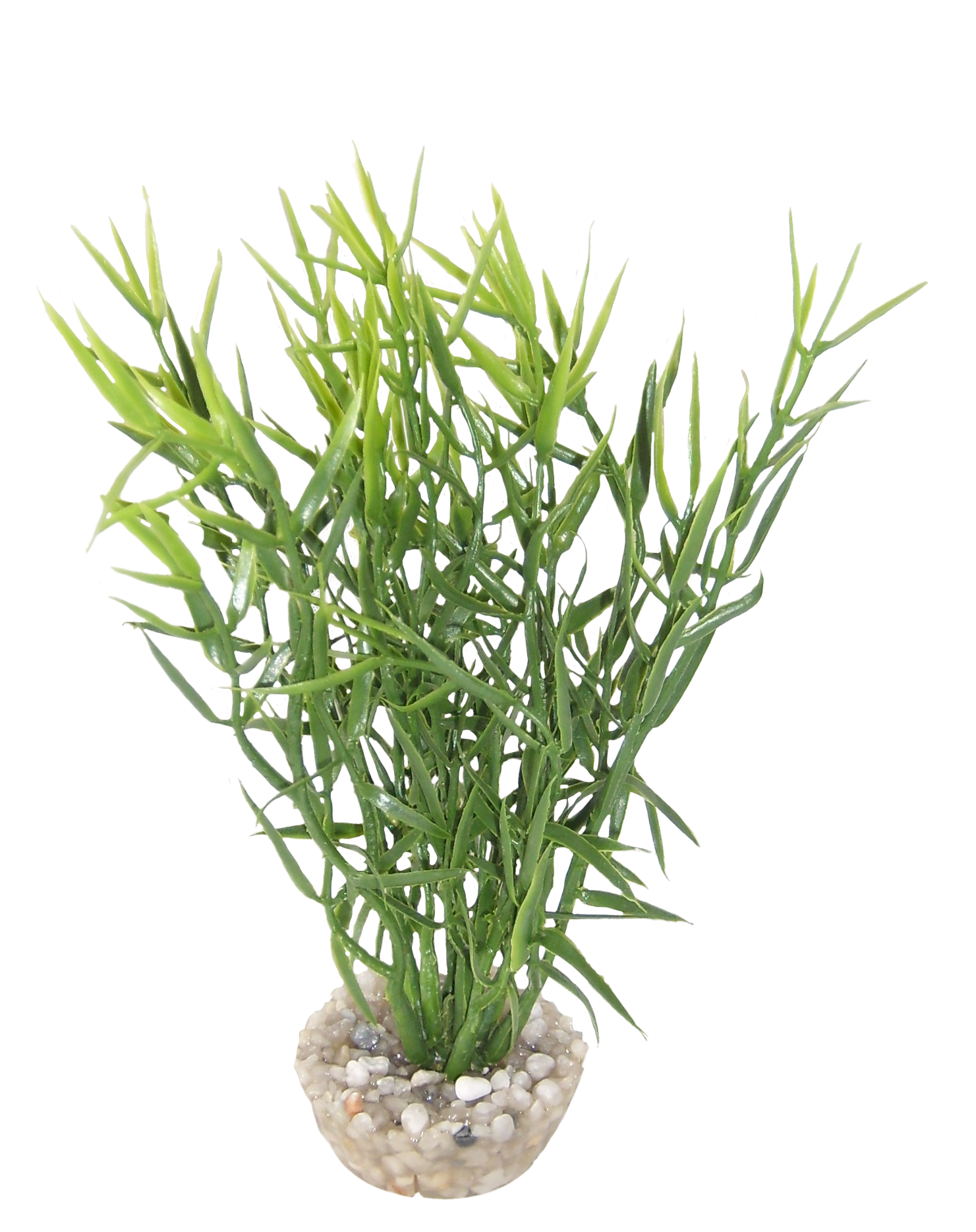 Labéo - Herbe marine verte - H.15 cm - Labéo