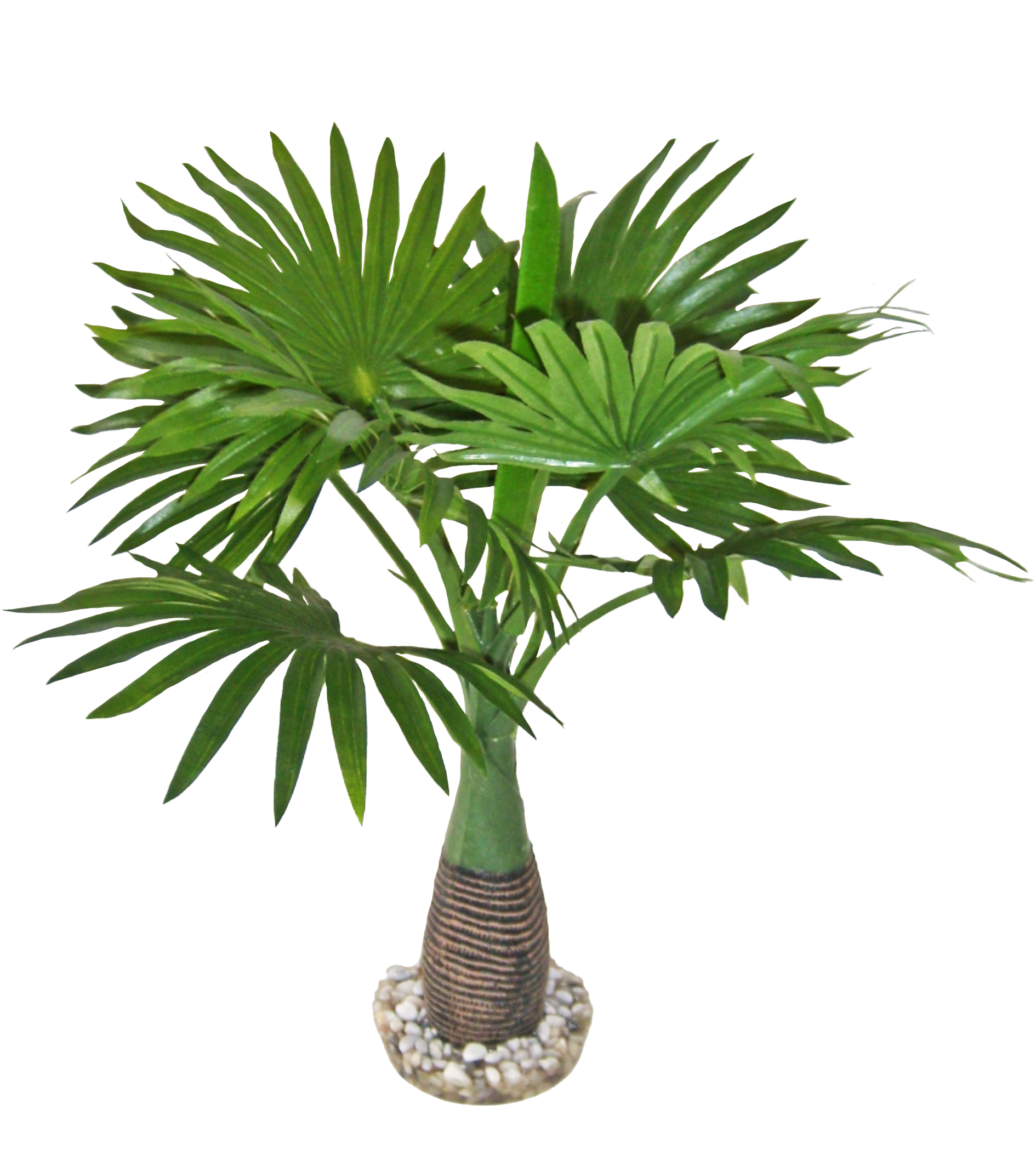 Labéo - Labéo - Planta artificial para terrario - H.37 cm