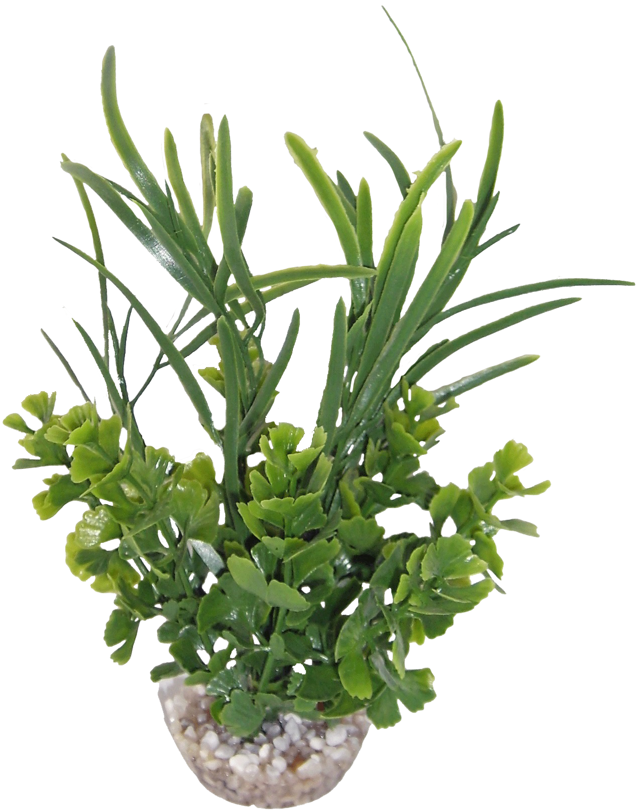 Labéo - Herbe papillon artificielle verte - H.16 cm - Labéo