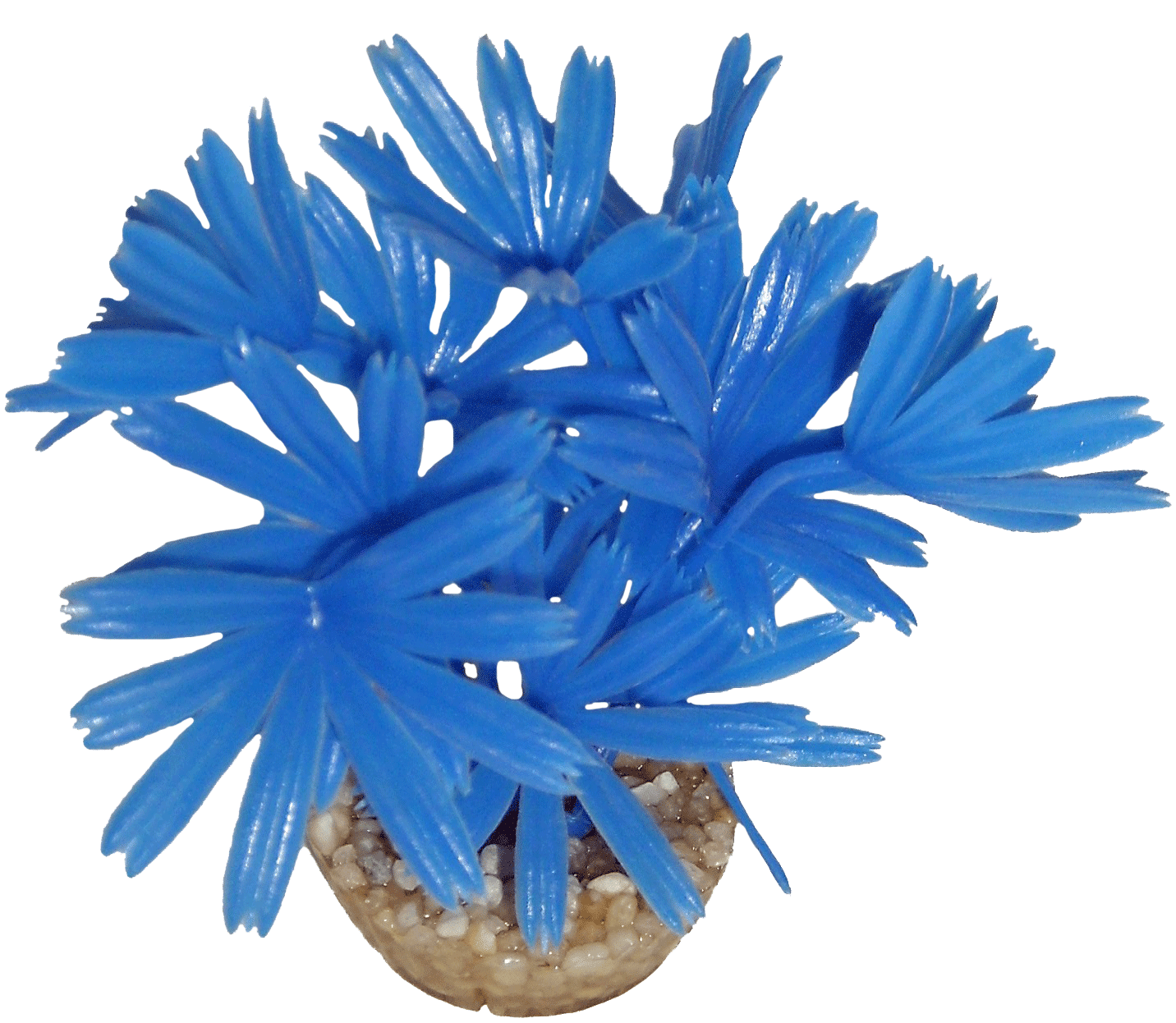 Labéo - Plante artificielle bleue - H. 9 cm - Labéo