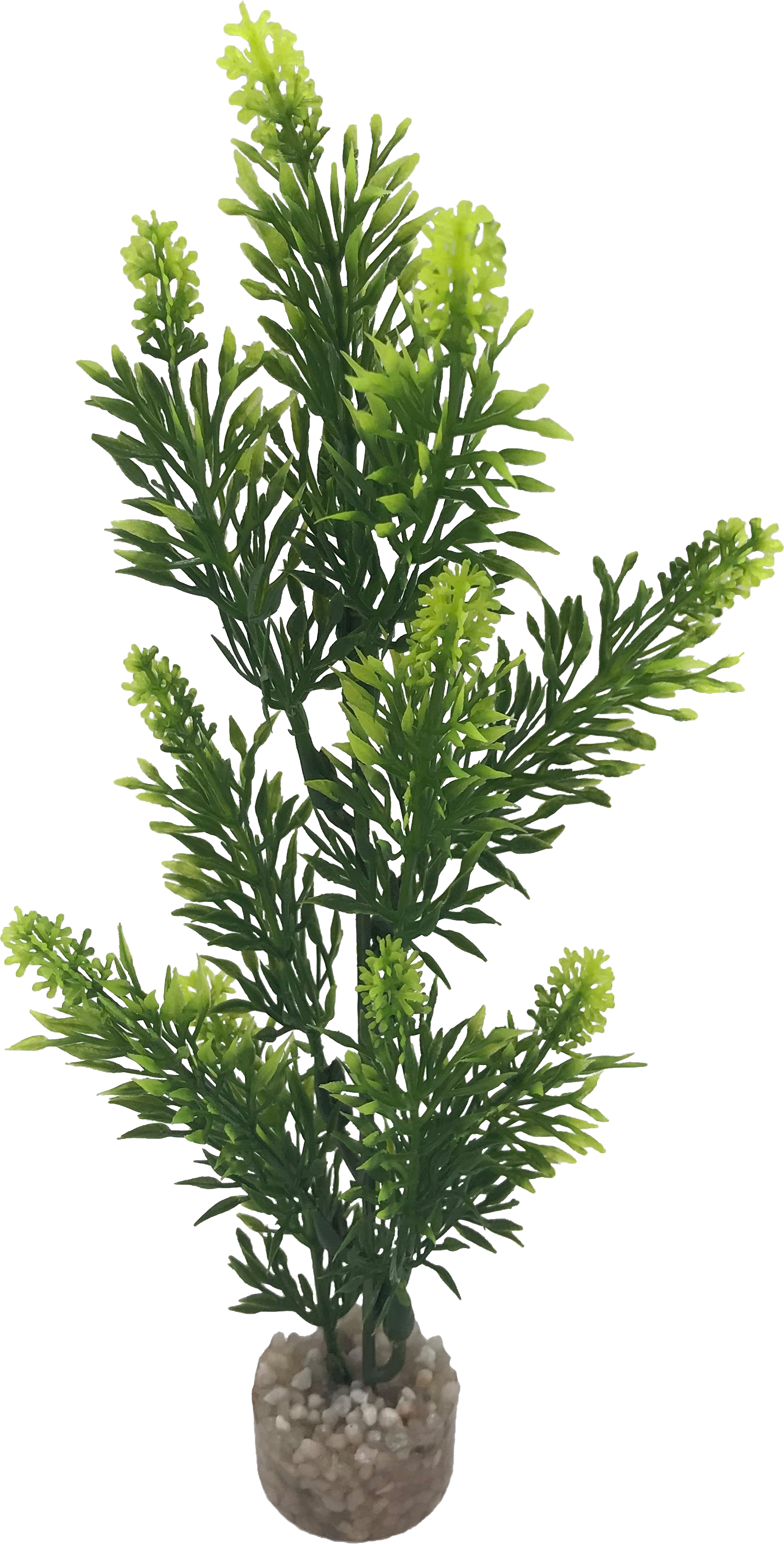 Labéo - Plante artificielle Elodée verte - H.22 cm - Labéo