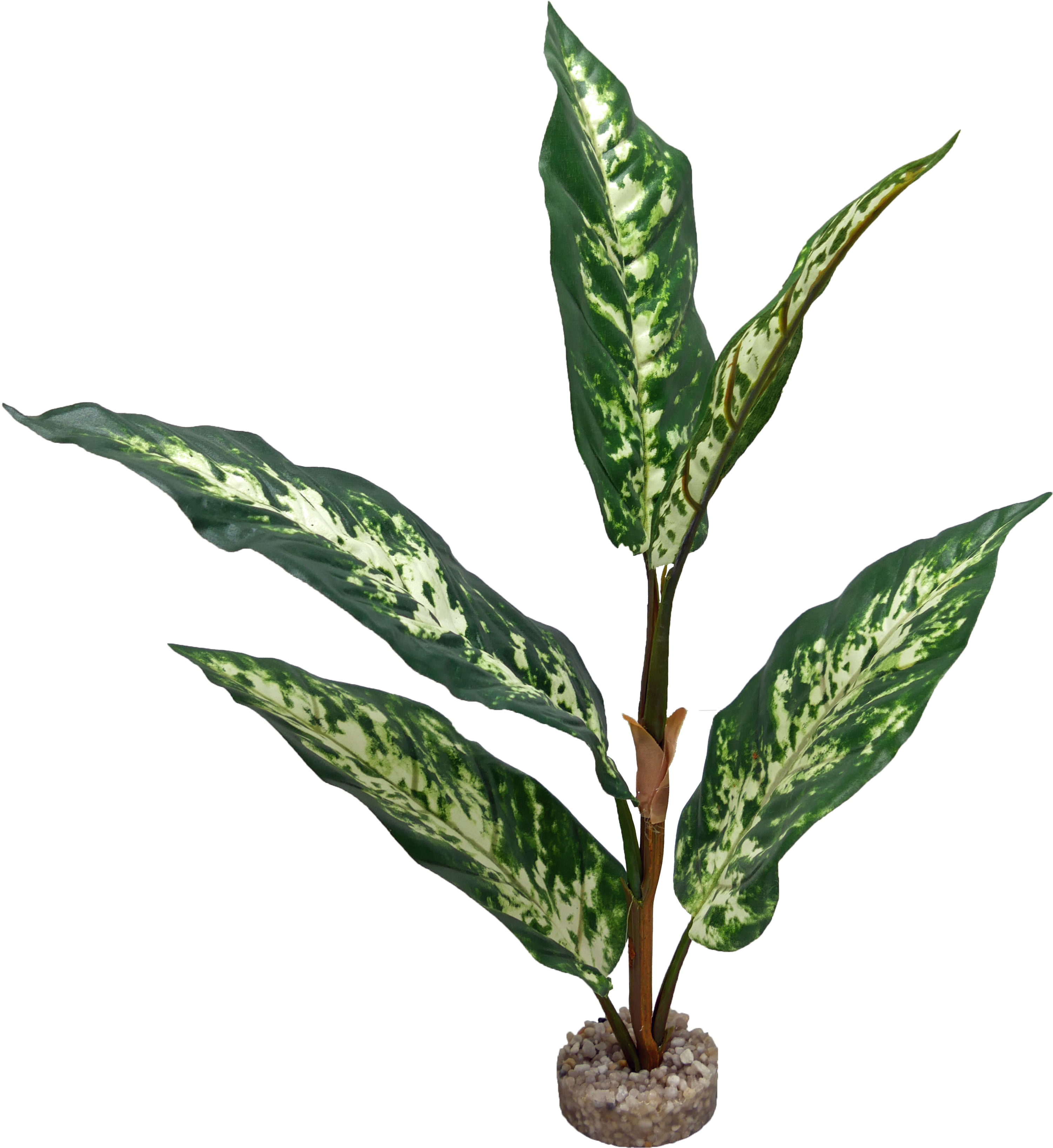 Labéo - Plante artificielle PM pour terrarium - H.35 cm - Labéo