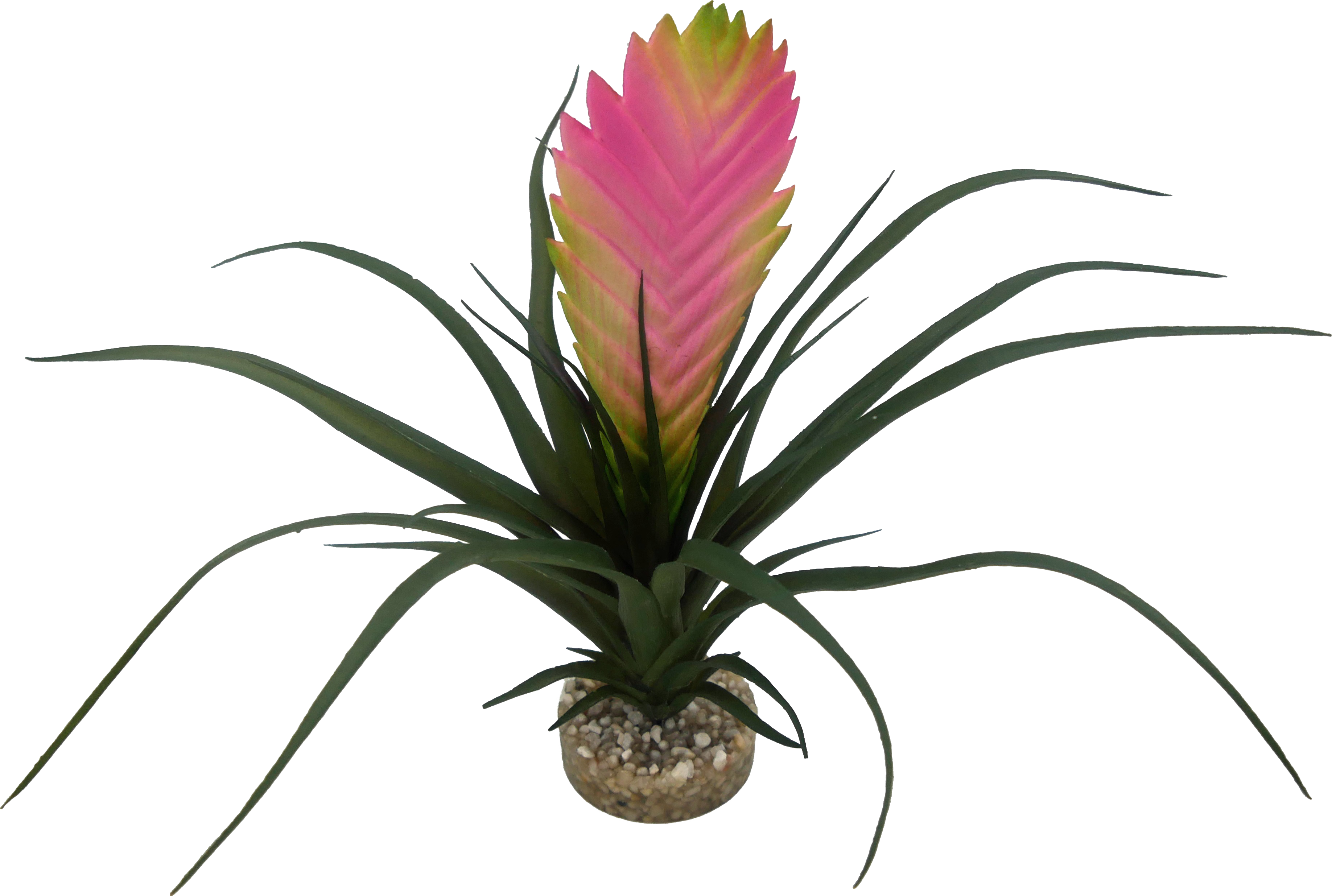 Labéo - Plante artificielle Vriesea rose - H.31 cm - Labéo