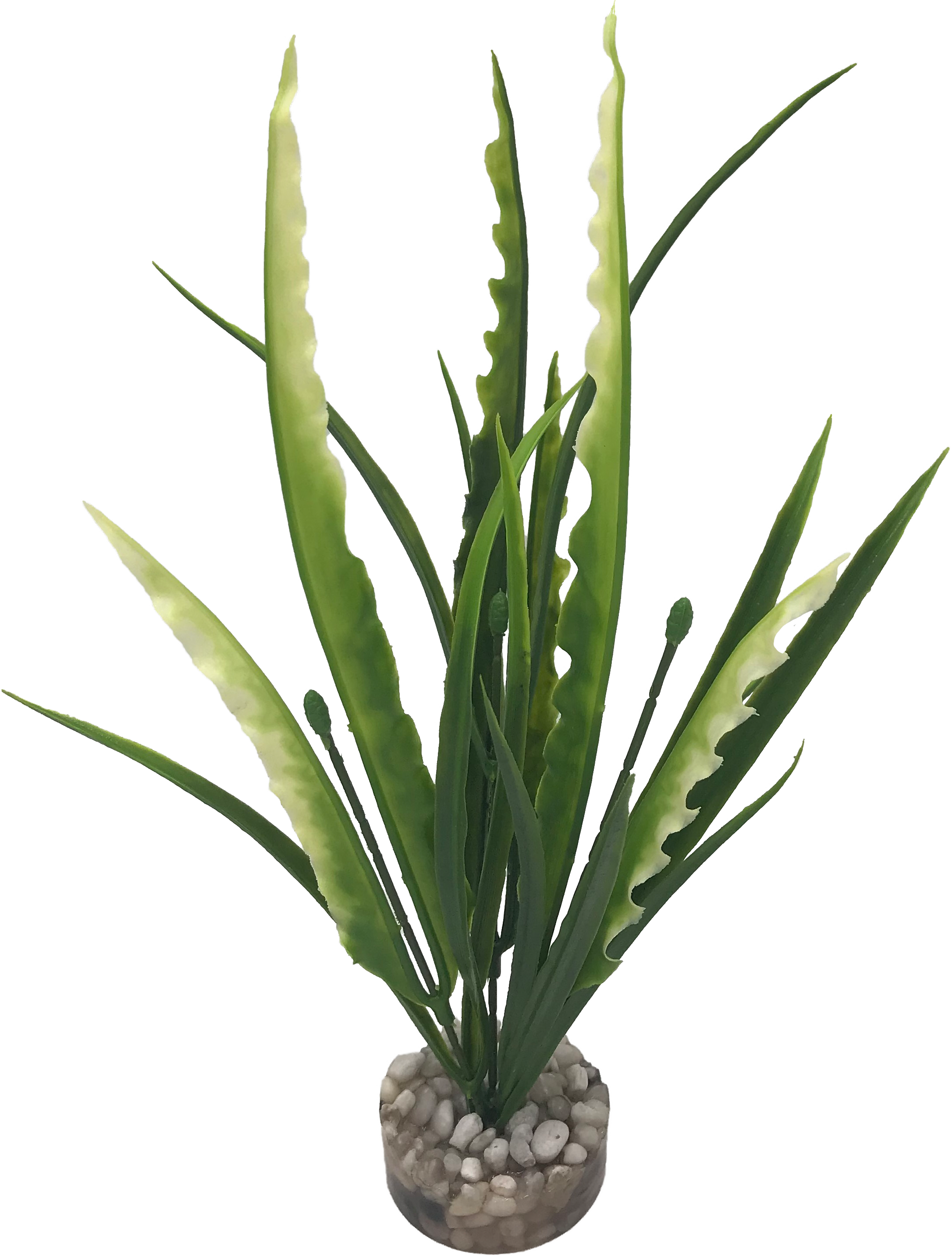 Labéo - Décor Plante herbe marine B - H.24 cm - Labéo