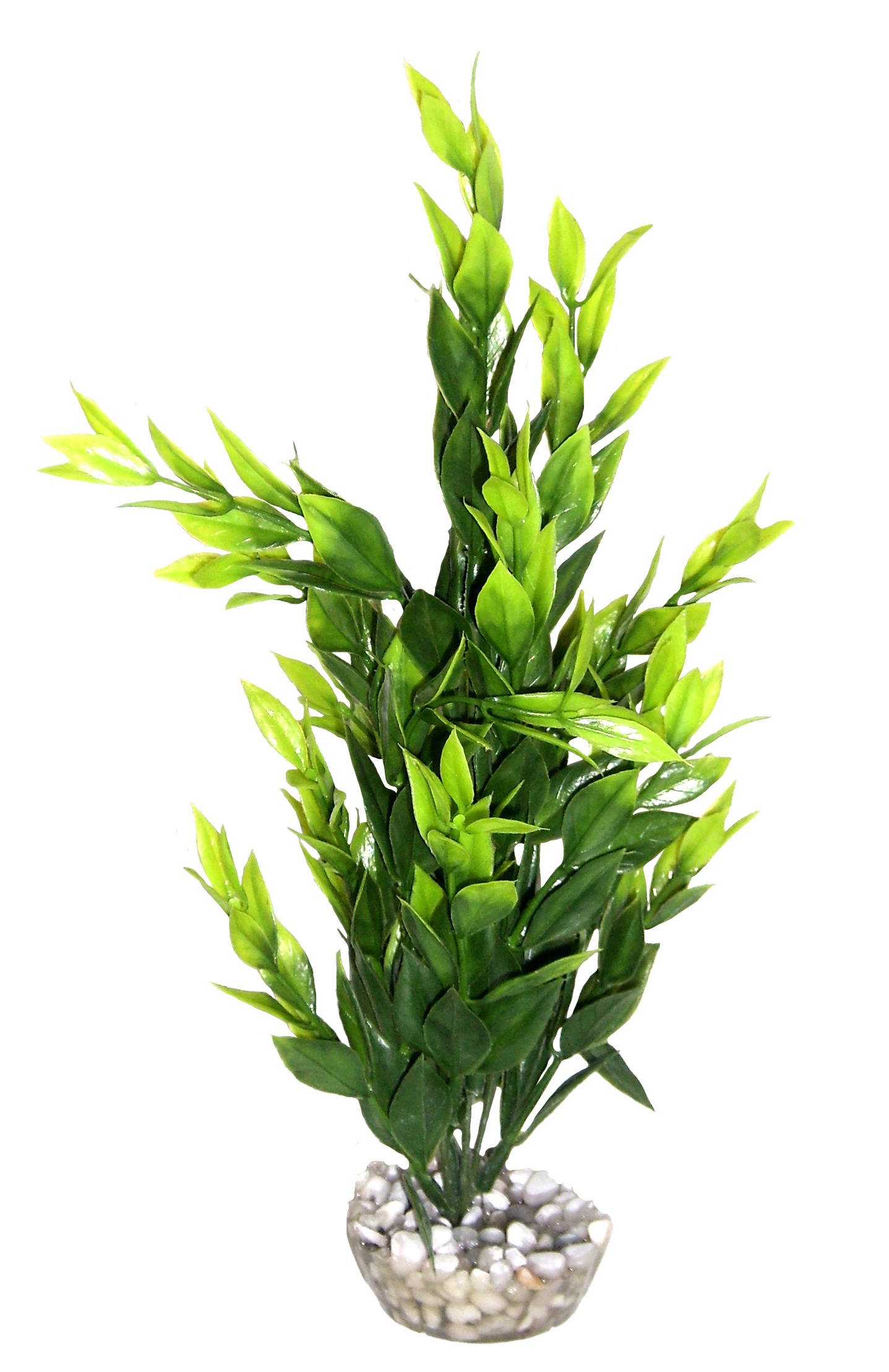 Labéo - Cycared vert clair - H.31 cm - Labéo