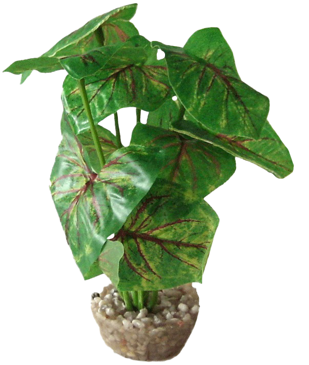 Labéo - Plante en tissu - H.15 cm - Labéo