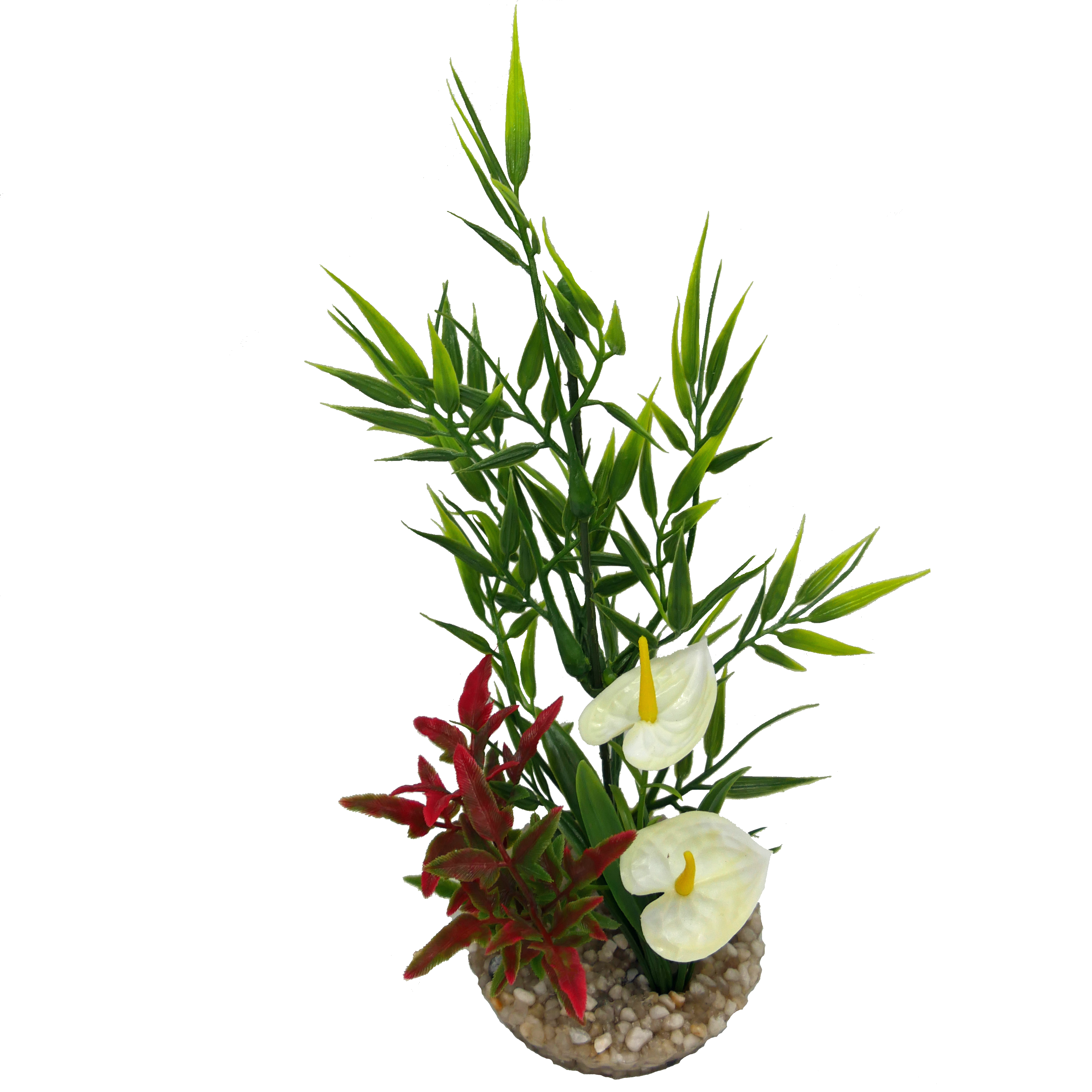 Labéo - Jardin herbe avec anthuriums blancs - H.21 cm - Labéo