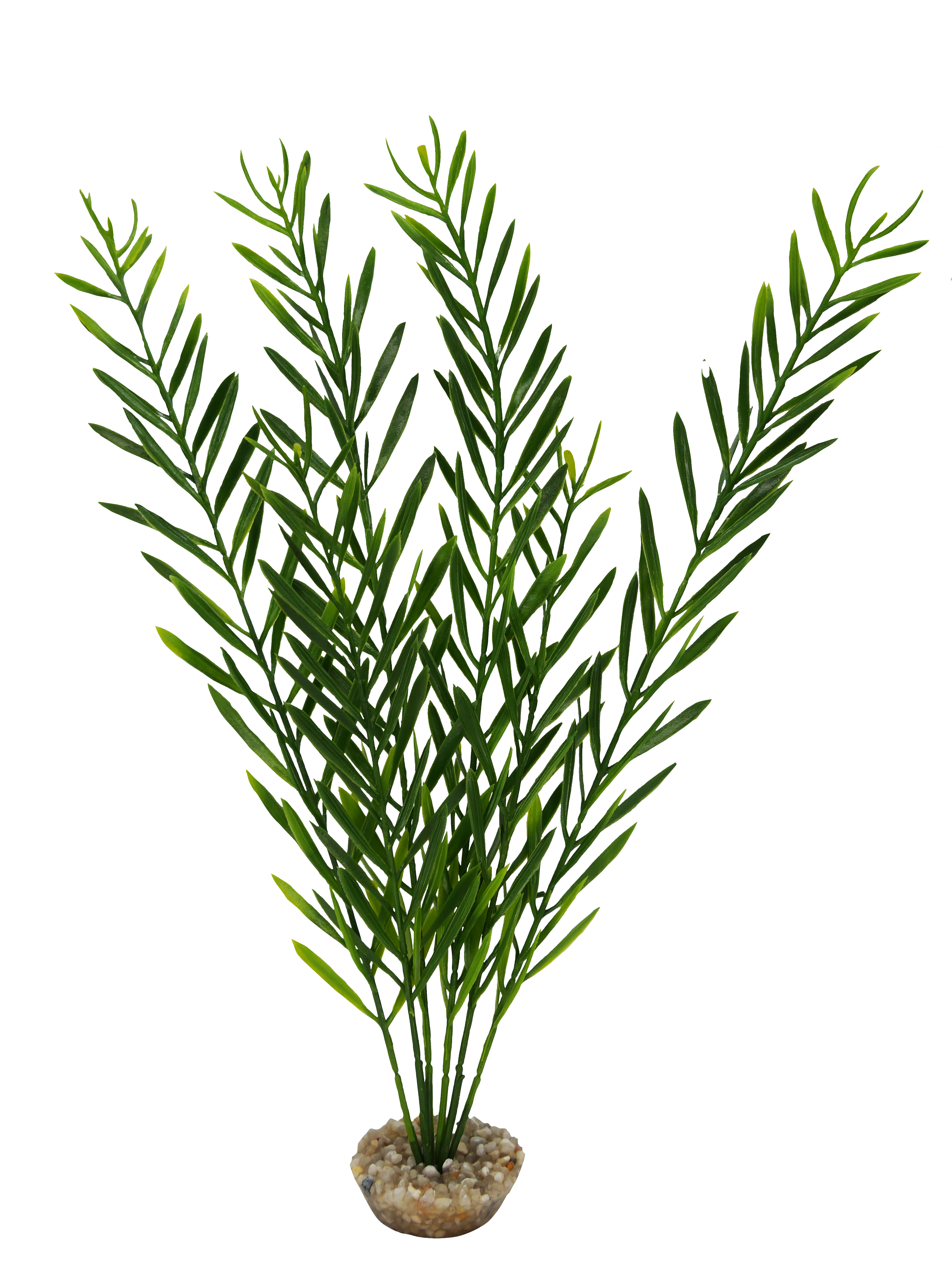 Labéo - Algue haute artificielle verte - H.31 cm - Labéo