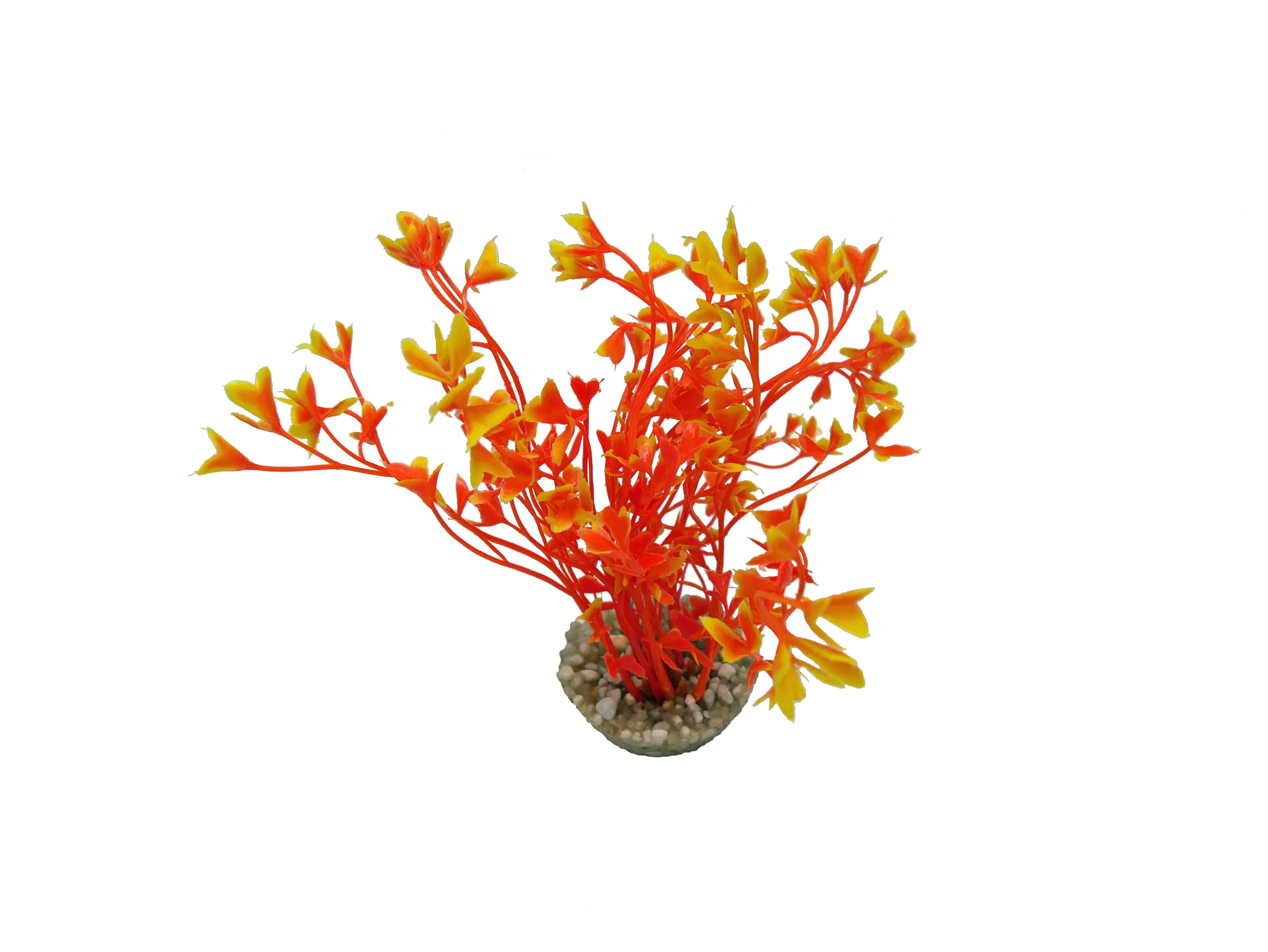 Labéo - Algue artificielle orange - H. 13 cm - Labéo