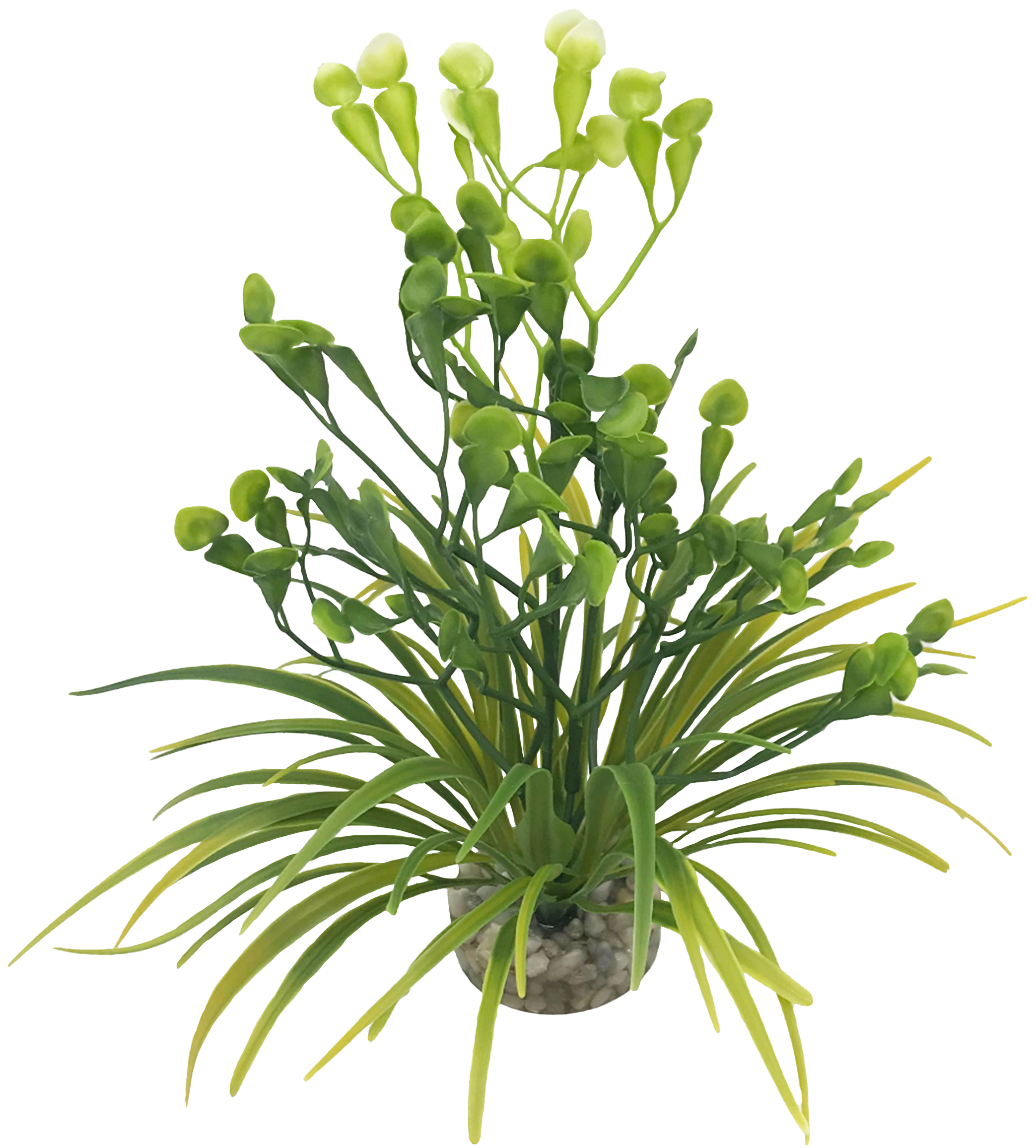 Labéo - Herbe verte avec corolle - H.23 cm - Labéo