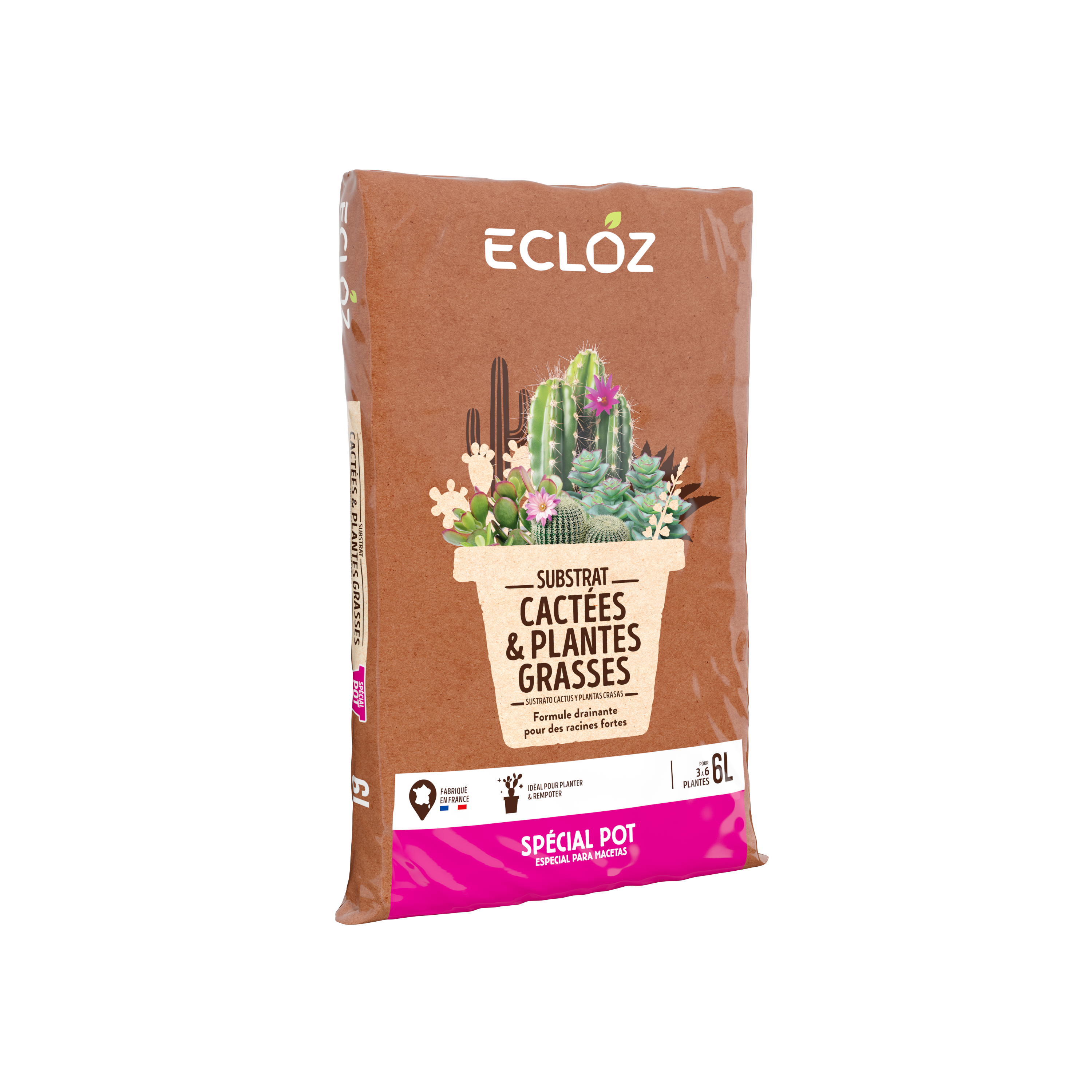 Tierra para cactus - Jardiland