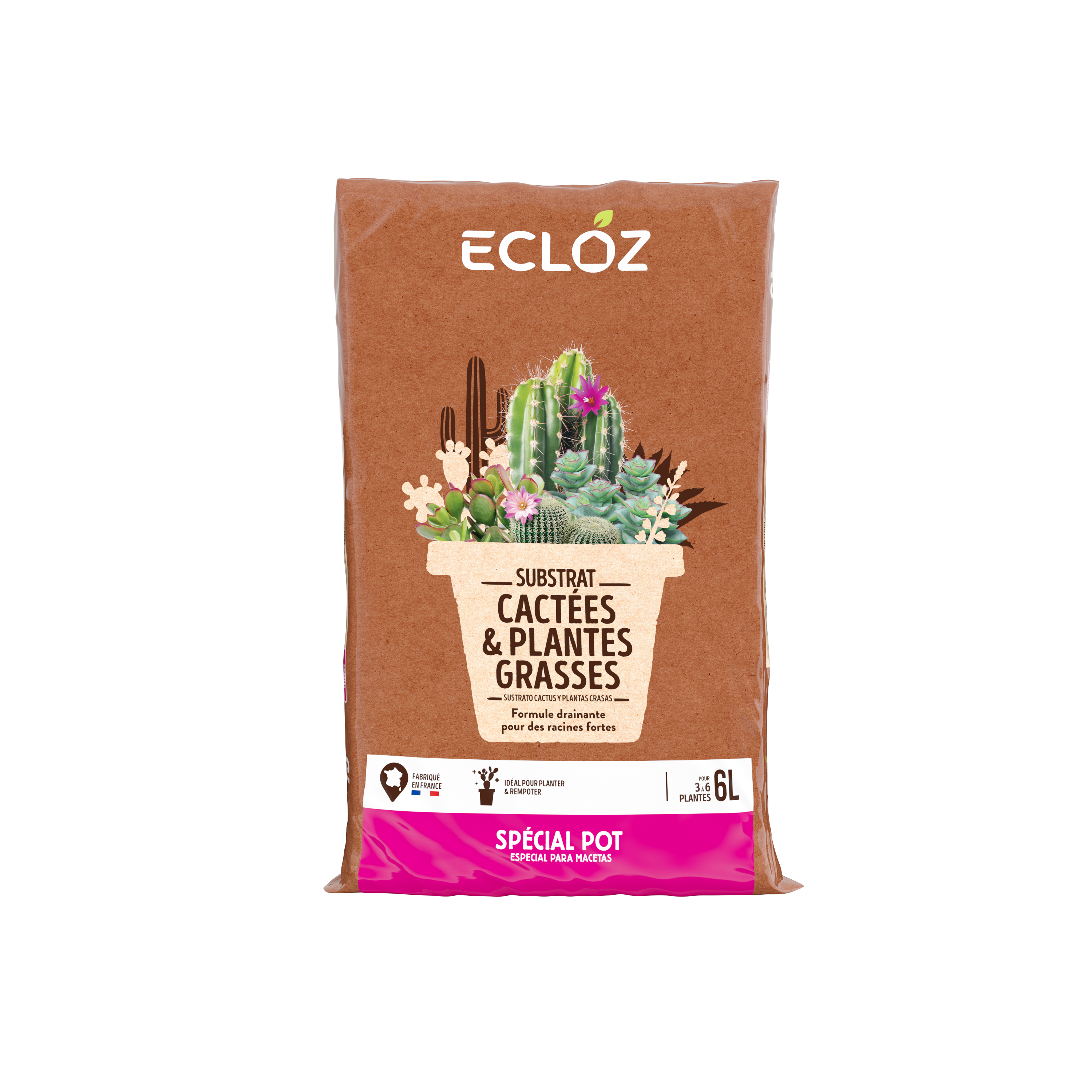 Ecloz - Terreau cactées 6L - ECLOZ - Imagen 2