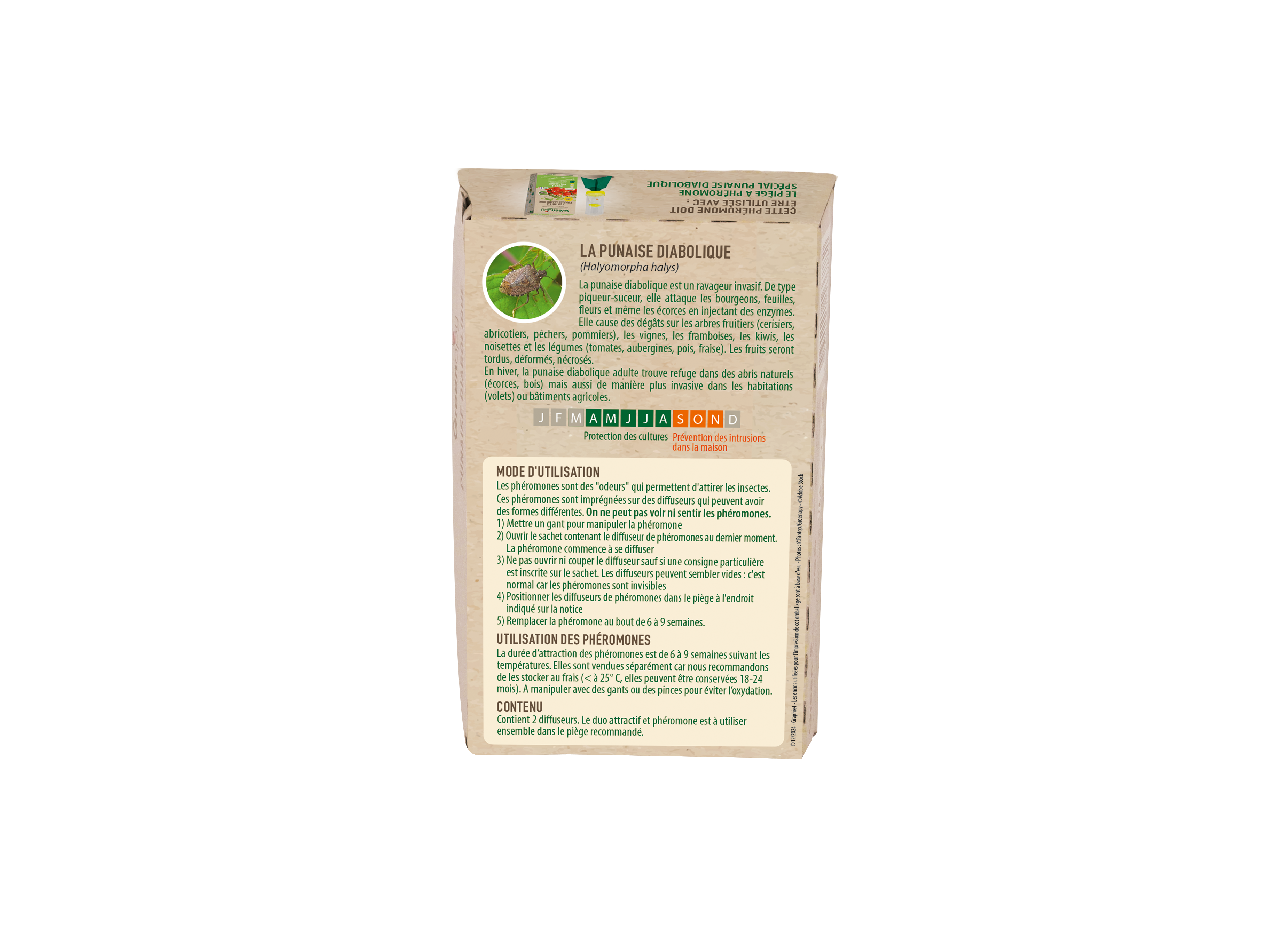 Greenapy - Phéromone punaise diabolique Halyomorpha halys 1 capsule - Greenapy - Image 3
