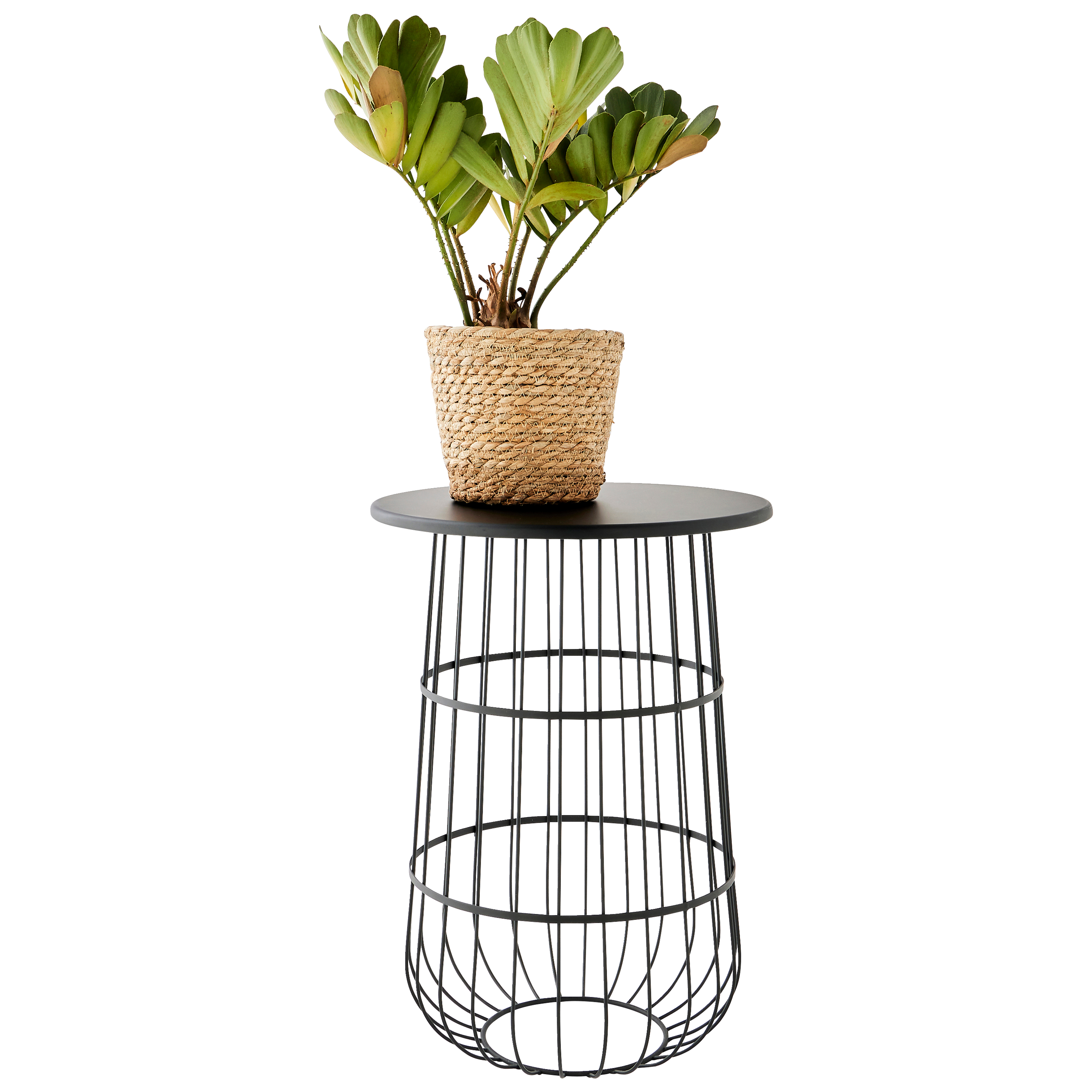 Ecloz - Porte-plantes rond filaire en métal noir H.54 cm - ECLOZ - Imagen 3