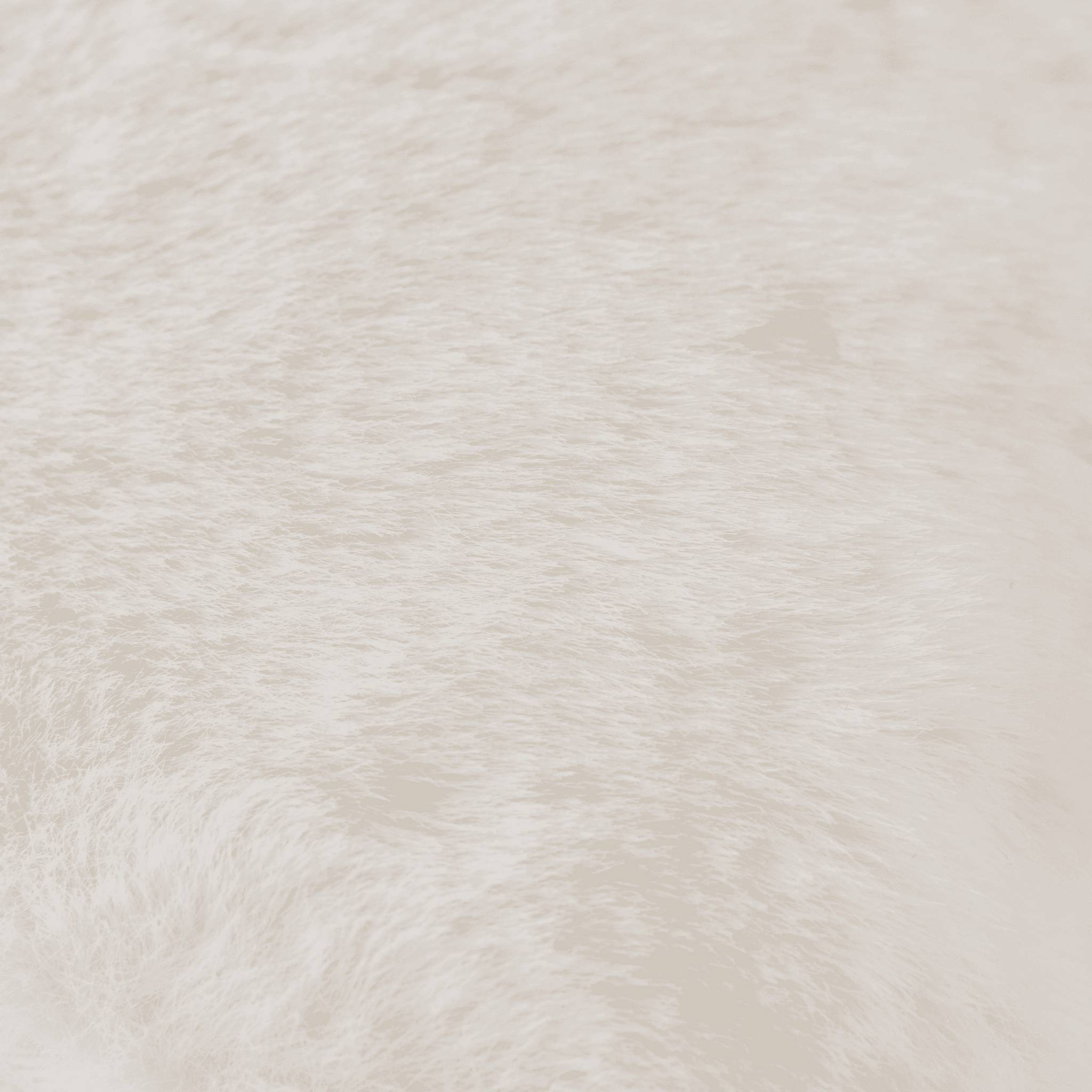 Coussin blanc imitation fourrure - ECLOZ - Image 3