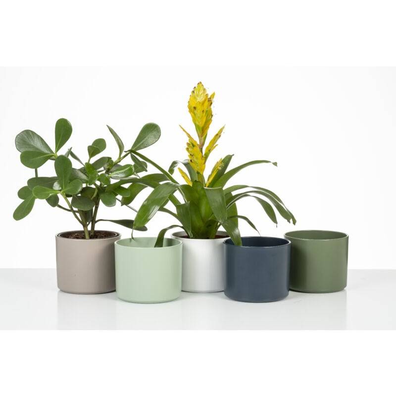 Pot de fleurs cylindrique en céramique vert Linden Ø13.6 cm H.12.2 cm - Scheurich - Imagen 2