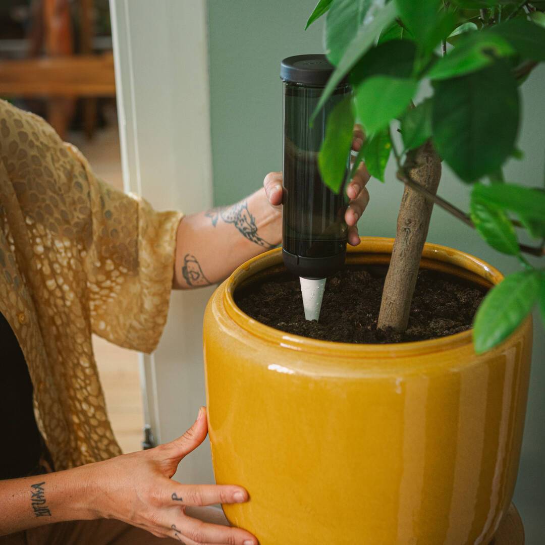 Fiskars - Pic d'arrosage Plant care - Imagen 4