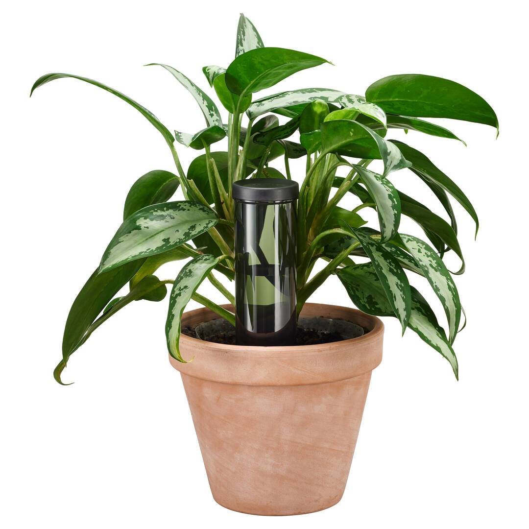 Fiskars - Pic d'arrosage Plant care - Imagen 3