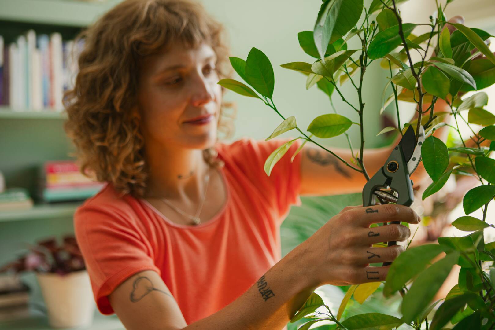 Fiskars - Sécateur avec support Plant care - Imagen 5