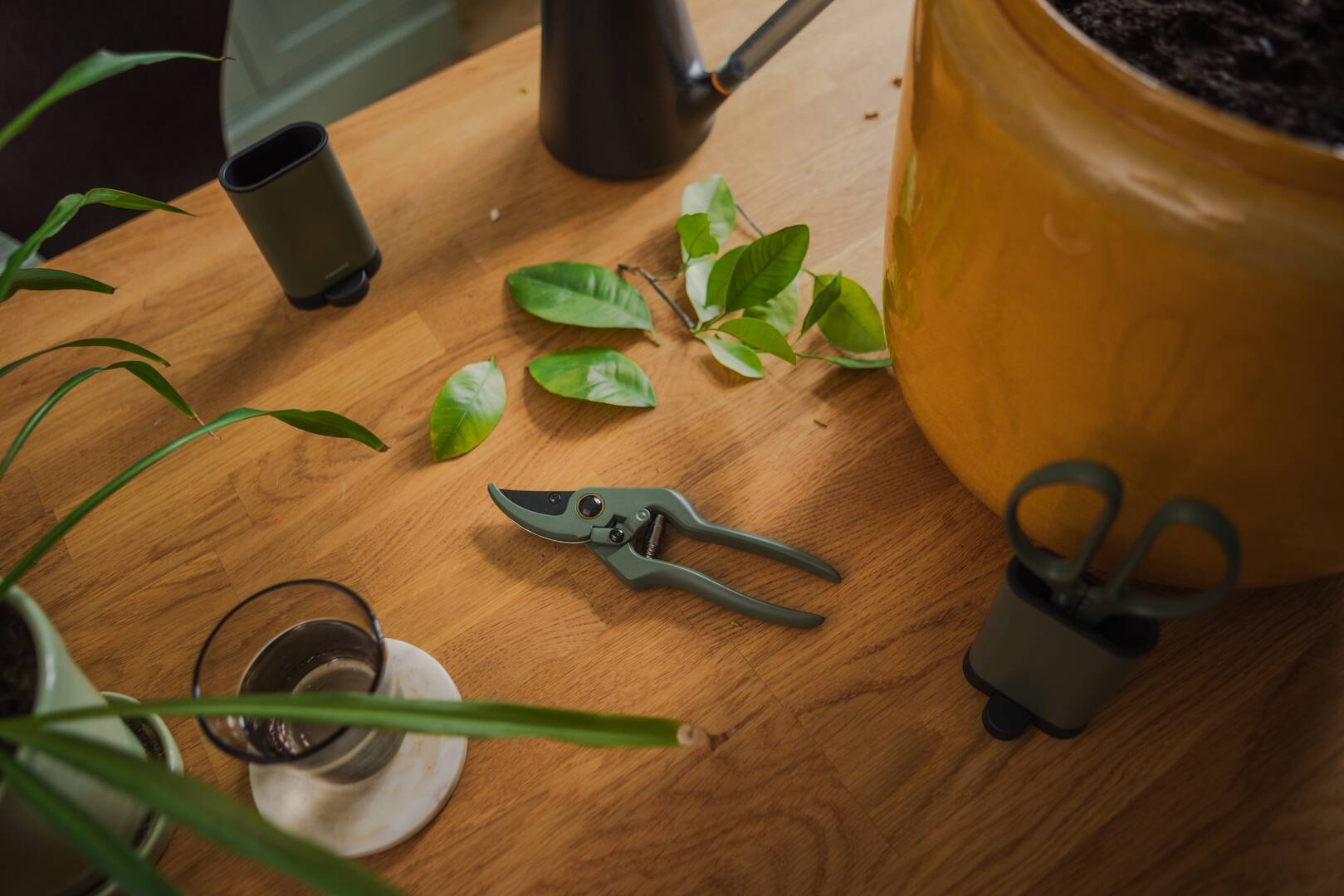 Fiskars - Sécateur avec support Plant care - Imagen 1