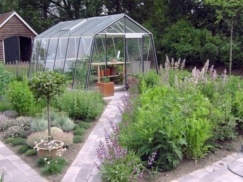 ACD Pro - Serre de jardin verre trempé aluminium brut 16,9 m² Prestige S206H Aluline avec embase - ACD Pro