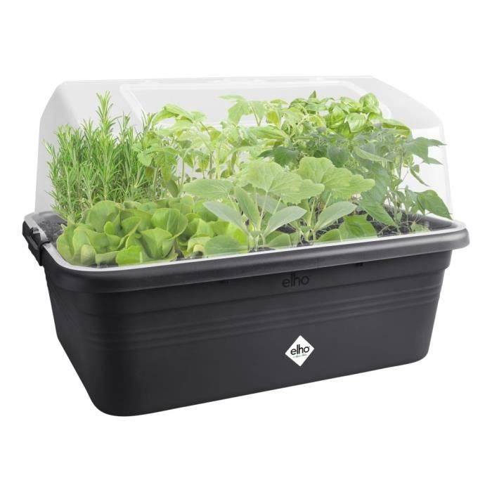 Bac à fleurs Green Basics Jardin de culture - plastique gris - L.66x48xH.29 cm - Elho - Imagen 5