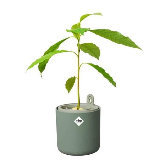 Pot de fleurs rond Amazing avocado plastique leaf green Ø16 cm - Elho - Image 5