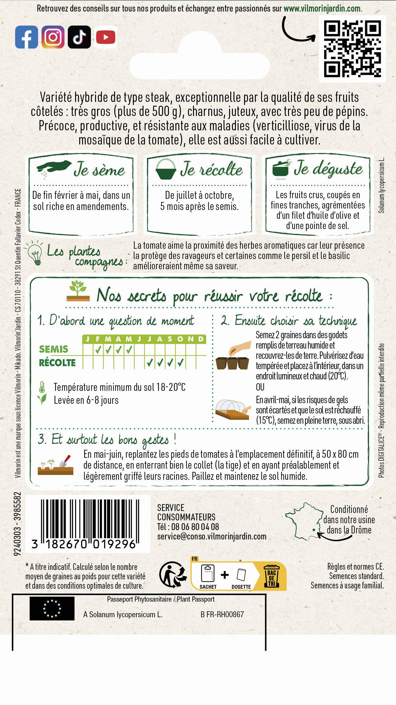 Vilmorin - Tomate Buffalo Steak F1 serie 2 sachet graines 0,1 g - Vilmorin - Image 2