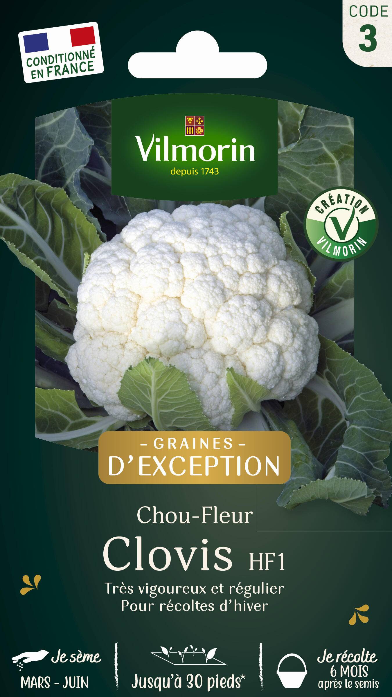 Vilmorin - Chou-fleur Clovis F1 serie 3 sachet graines 0,5 g - Vilmorin - Image 1